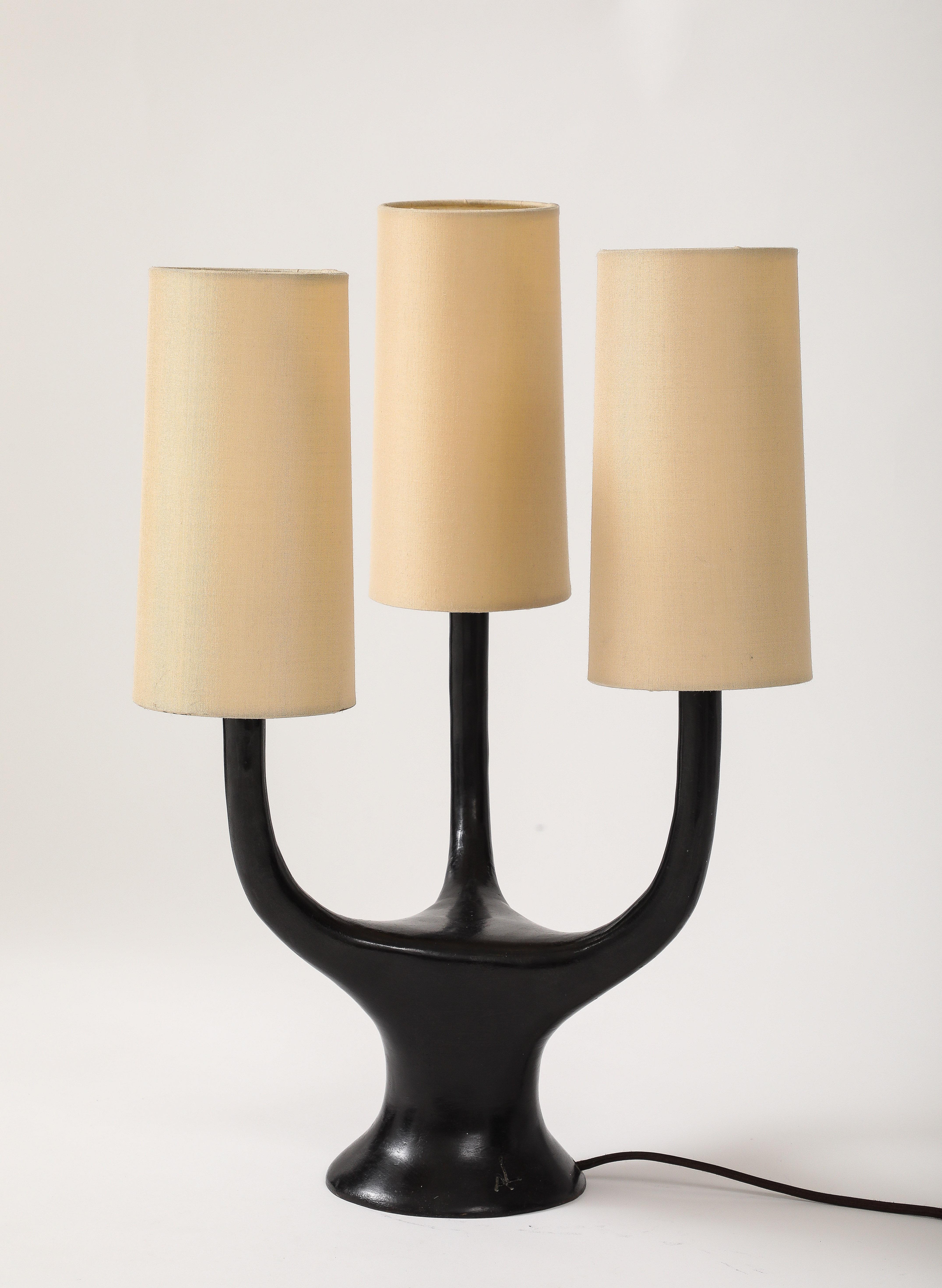 Organic Modern Bronze Table Lamp by Alexandre Logé 