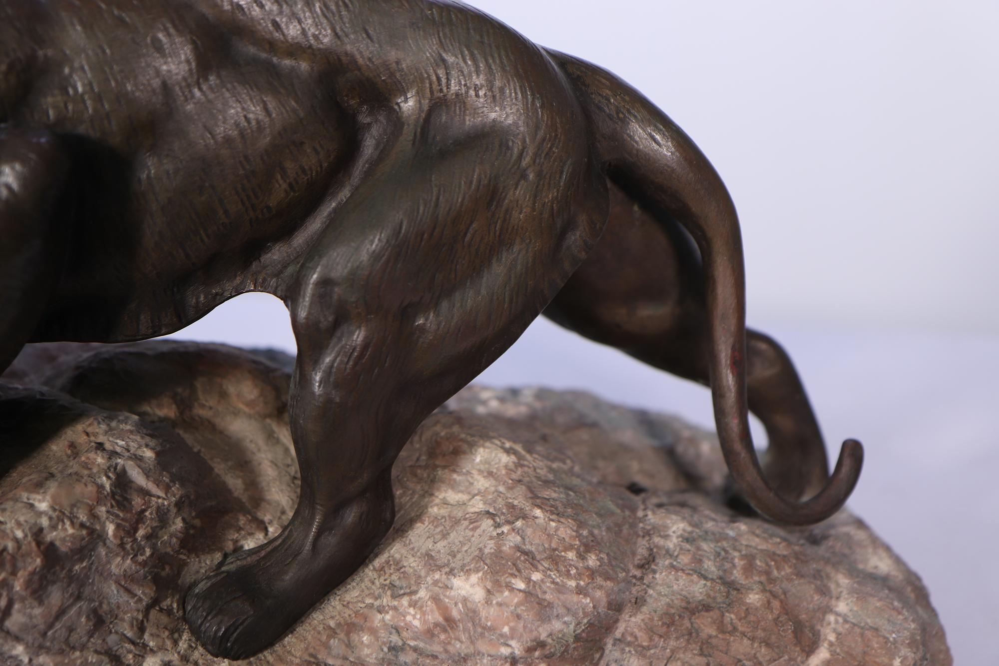 Bronze-Tiger von James Andrey, um 1920 im Angebot 8