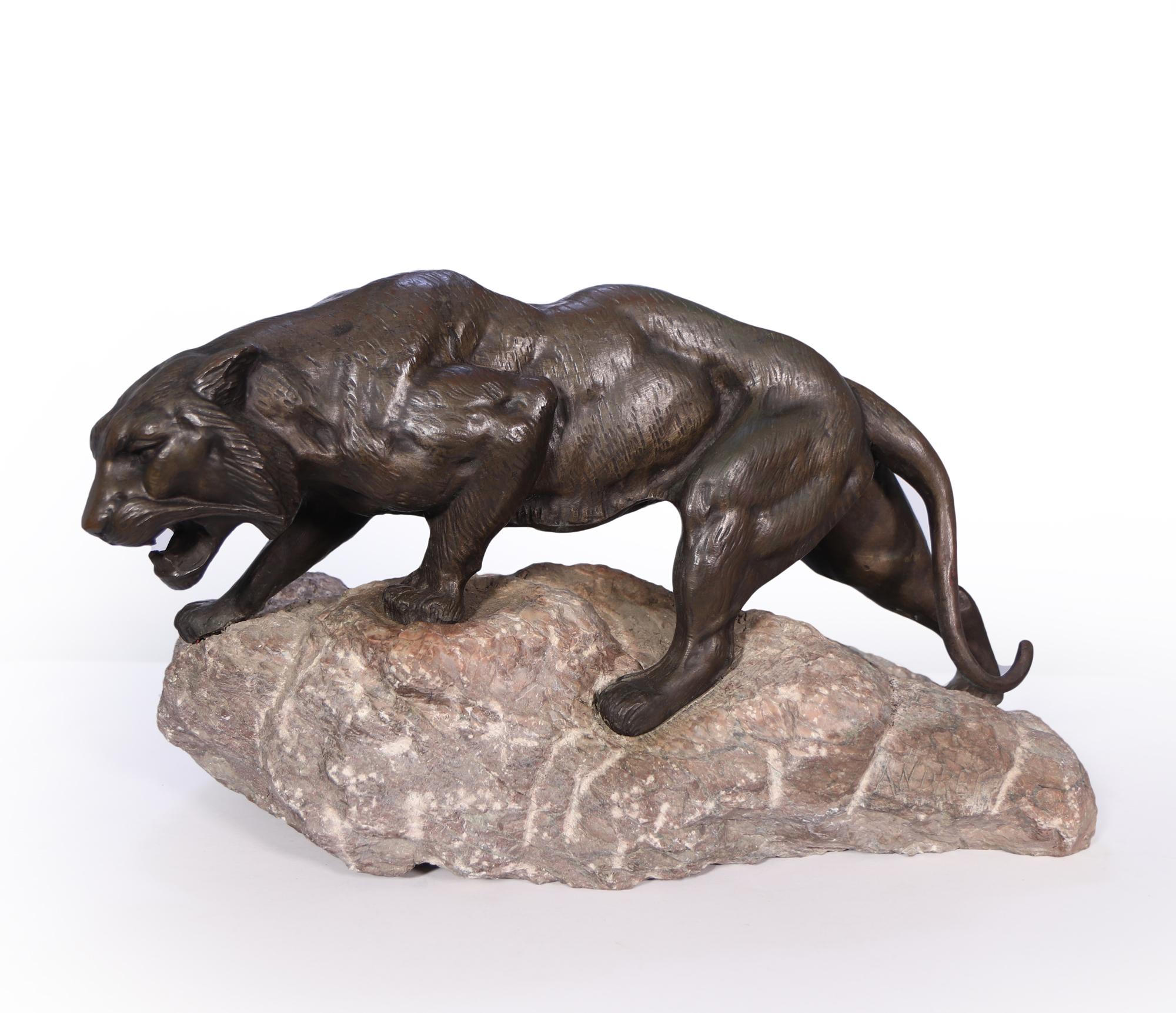 Ein gegossener Bronzetiger von James Andrey, der in den 1920er Jahren in Frankreich hergestellt wurde. Dieser Tiger wurde auf einem grob geschnittenen Marmorsockel mit der Inschrift ANDREY

Alter: 1920

Stil: Bronze-Skulptur

Material: