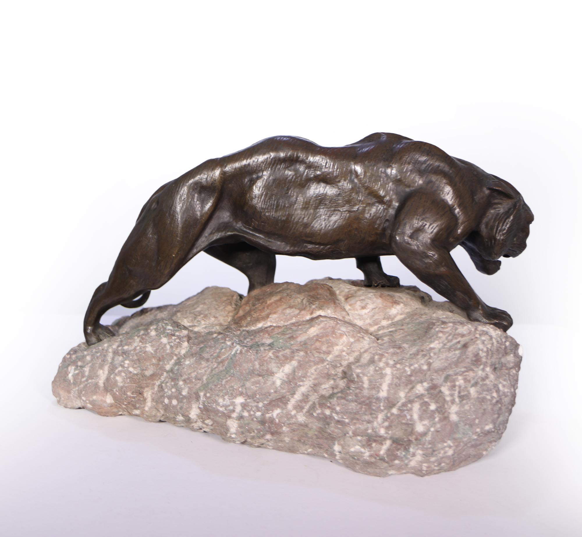Bronze-Tiger von James Andrey, um 1920 (Frühes 20. Jahrhundert) im Angebot