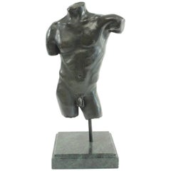 Bronze Torso Museum Mounted, After the Antique