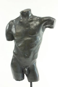 Bronze Torso Museum Mounted, After the Antique