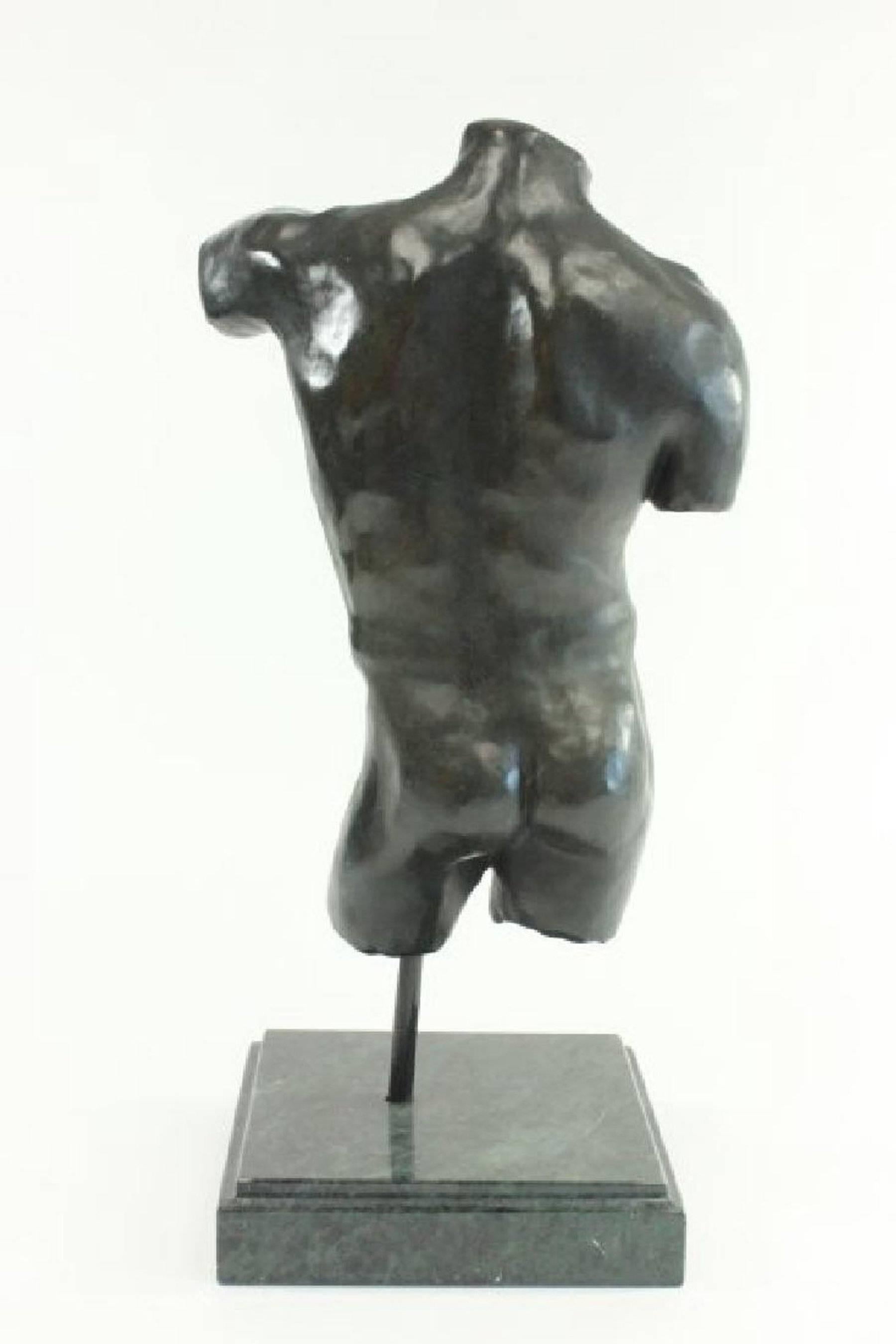 North American Bronze Torso Museum Mounted, After the Antique
