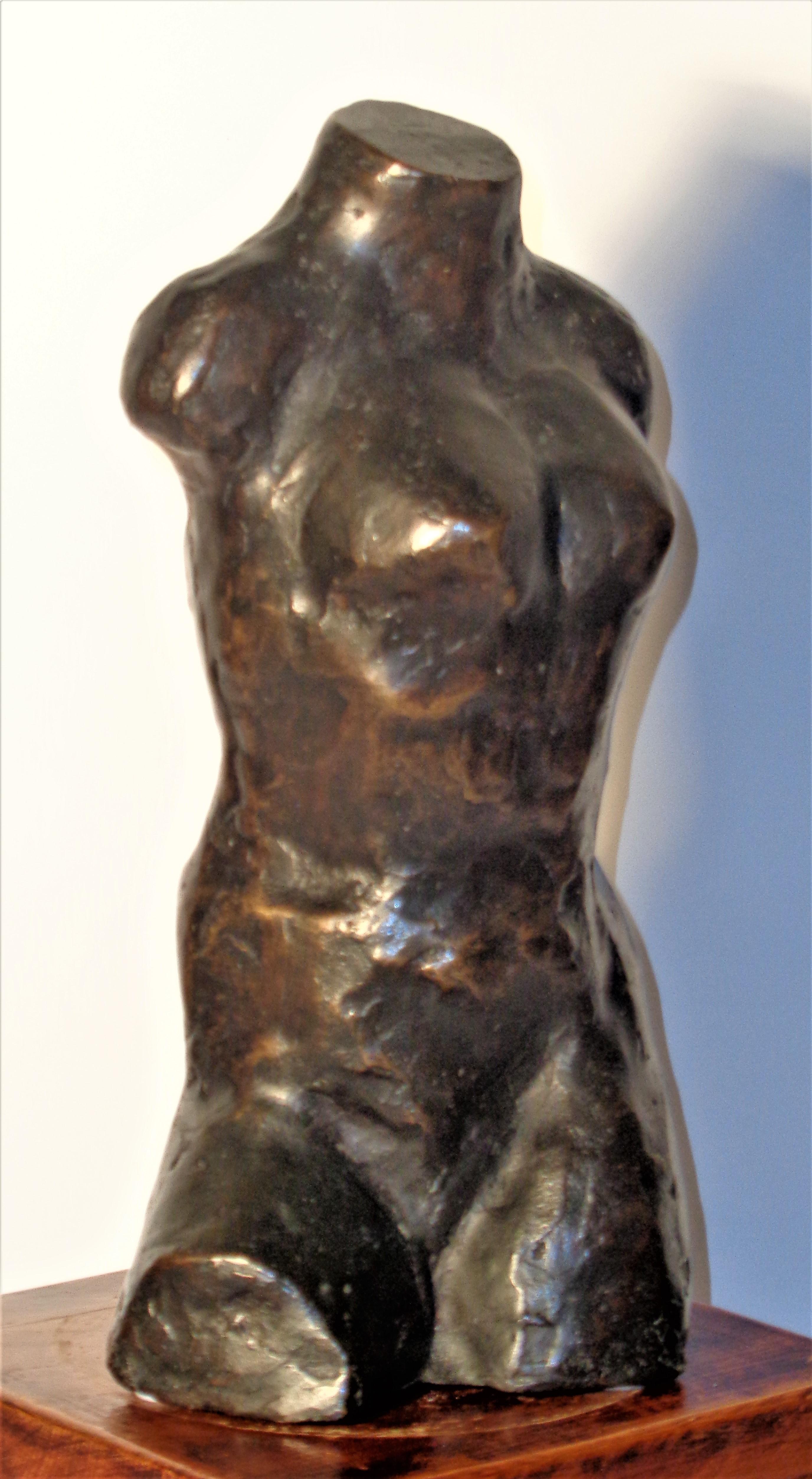 Bronze Torso Sculpture by Mordechai Avniel 4