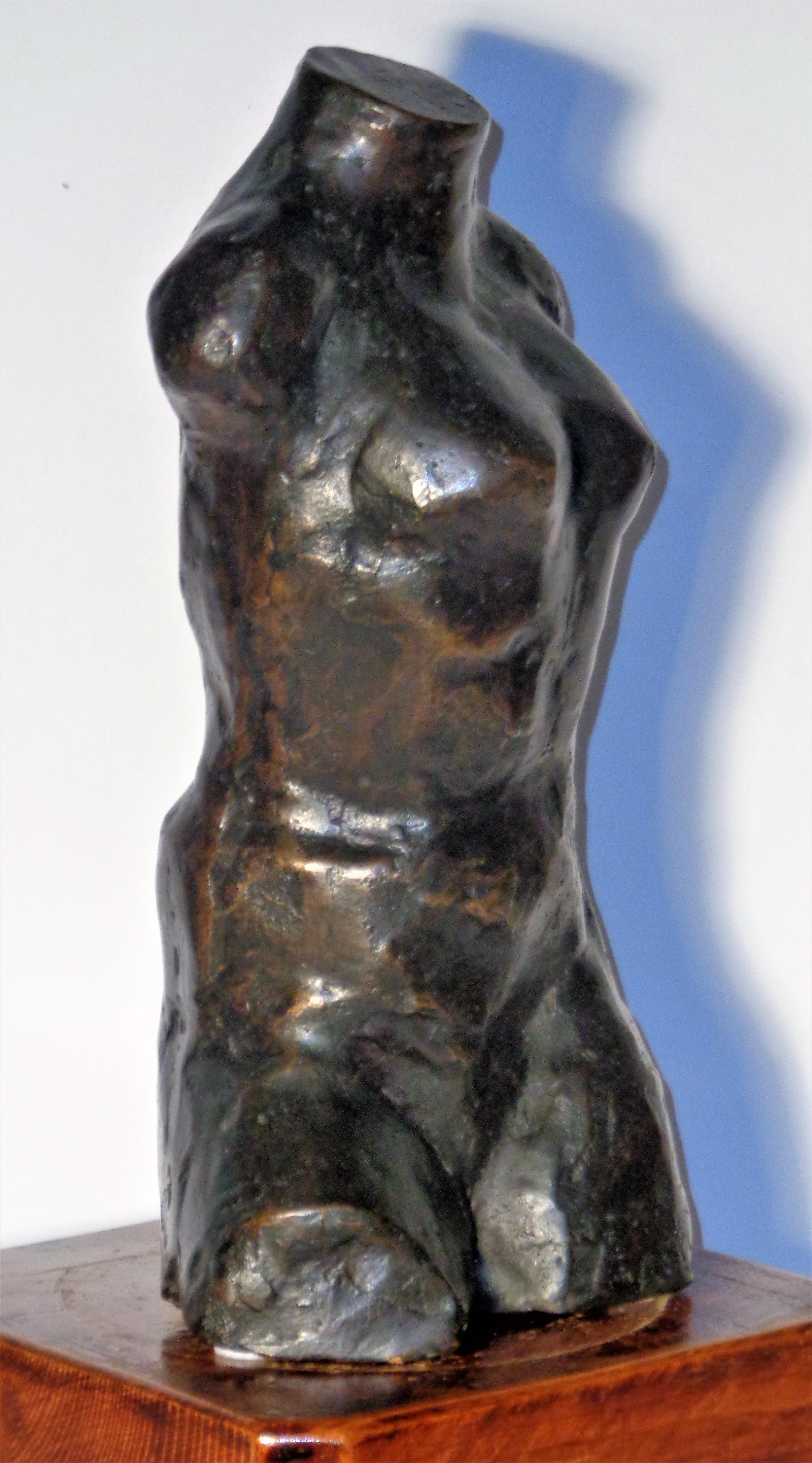 Bronze Torso Sculpture by Mordechai Avniel In Good Condition In Rochester, NY