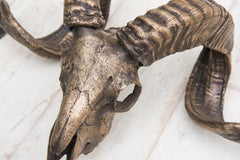Calavera decorativa de oveja toscana de bronce para montaje en pared o acento de mesa