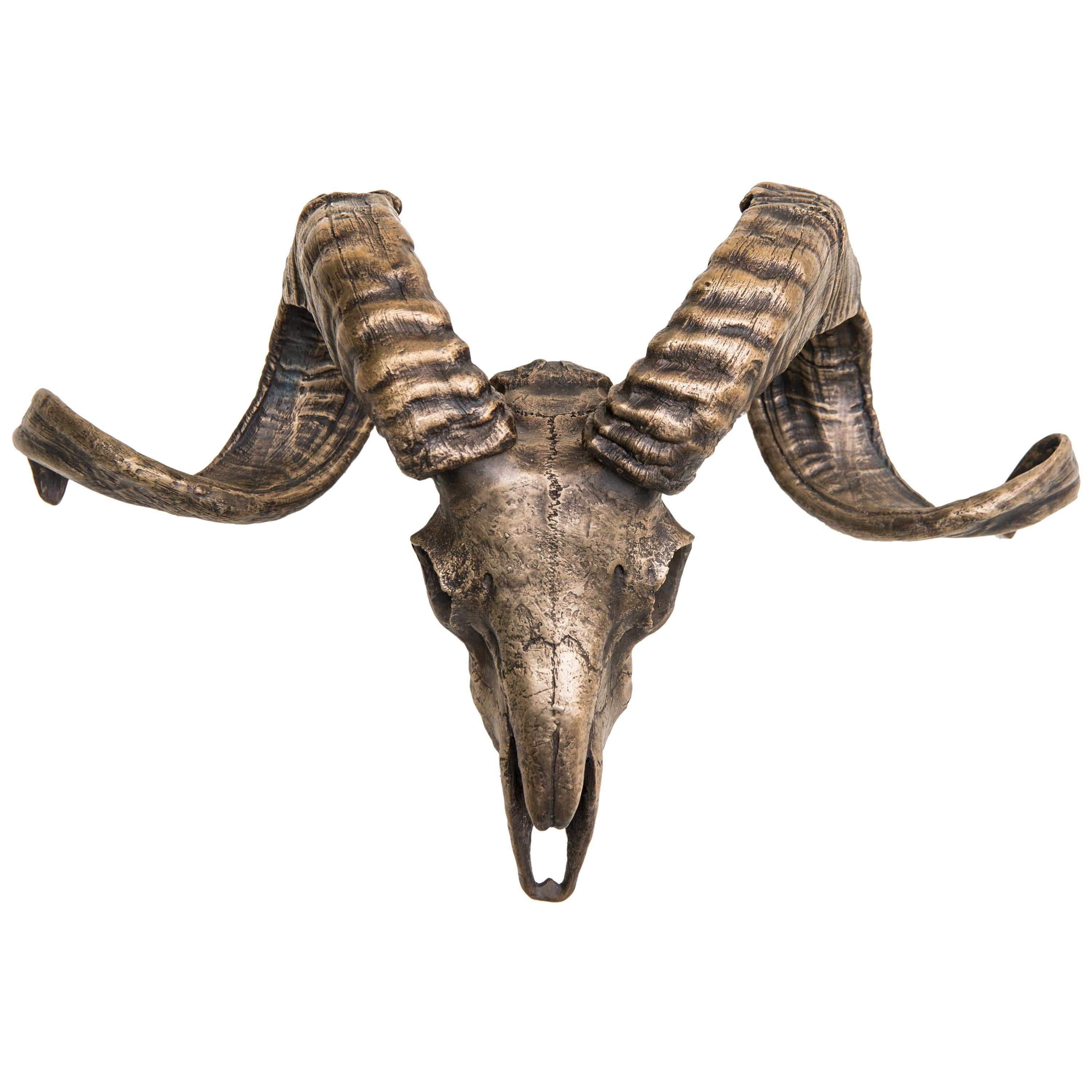 Decorative Bronze Tuscan Sheep Skull for wall mount or table accent For Sale