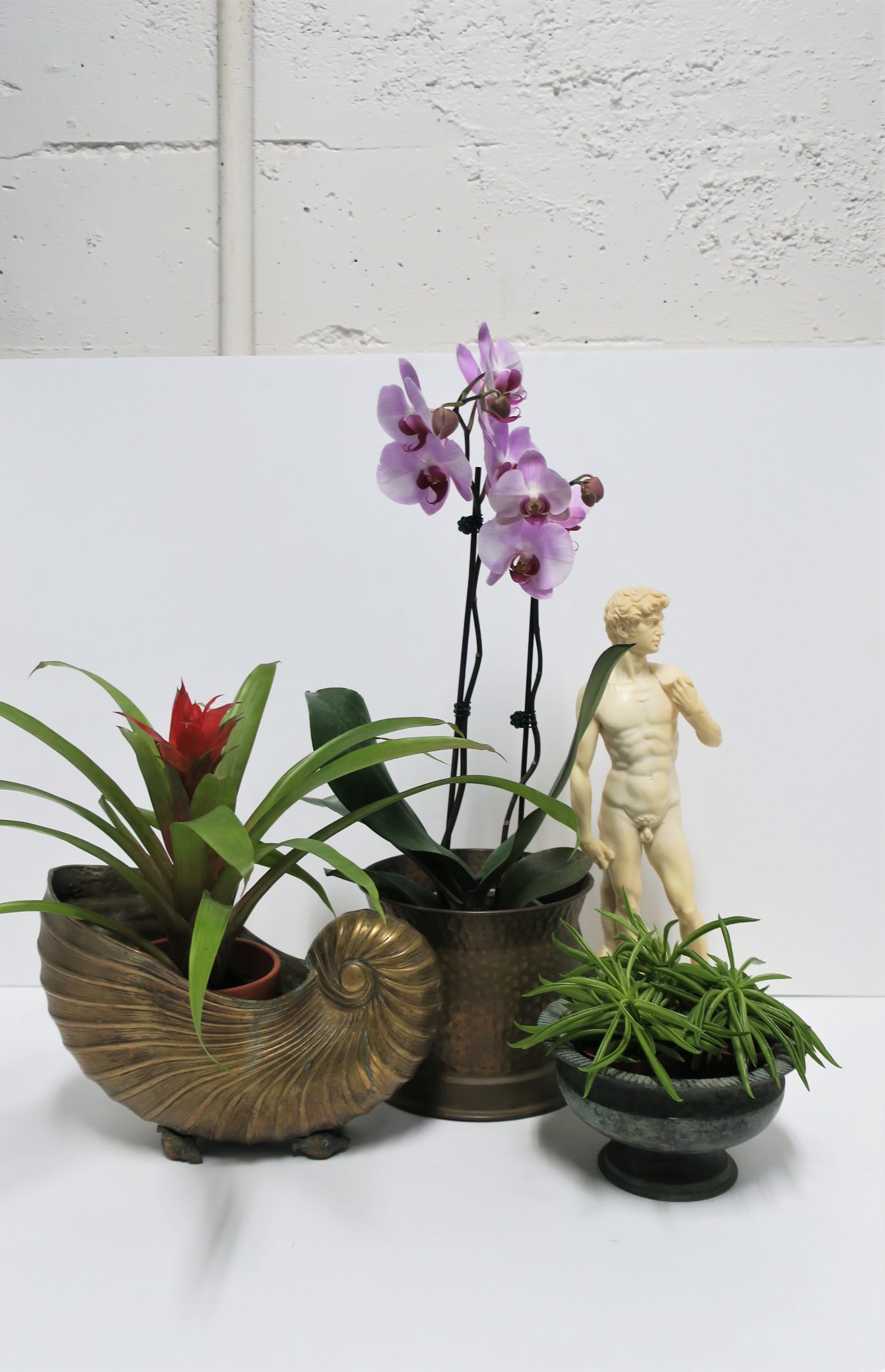 Verdigris Bronze Urn Cachepot Jardinière Planter Flowerpot Holder 2