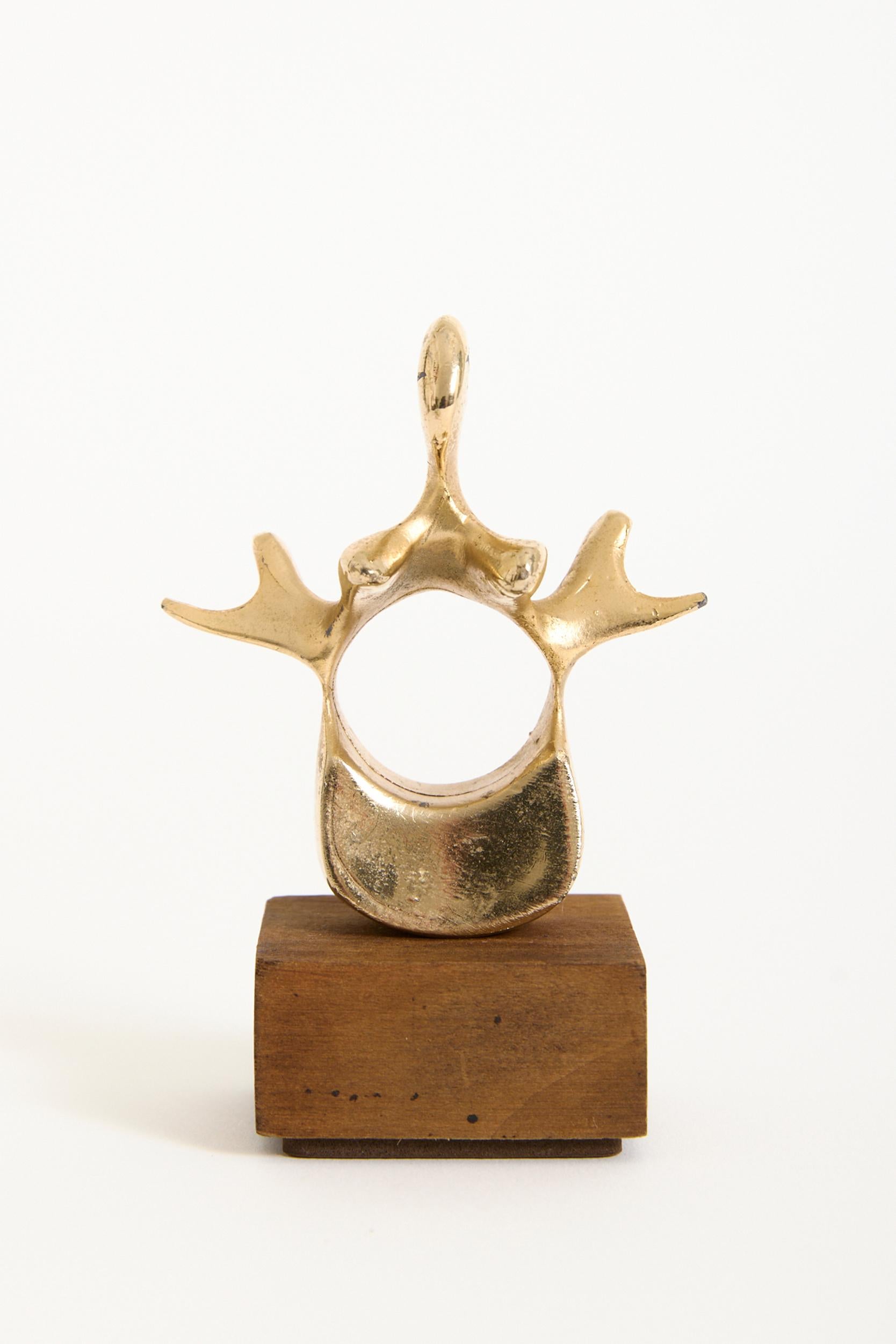 Mid-Century Modern Bronze Vertebra Sculpture For Sale