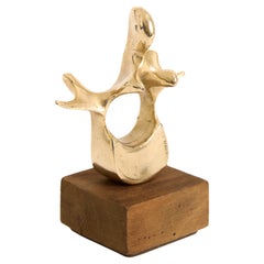 Bronze Vertebra Sculpture