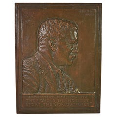 Placa mural de bronce de James Earle Fraser sobre Theodore Roosevelt