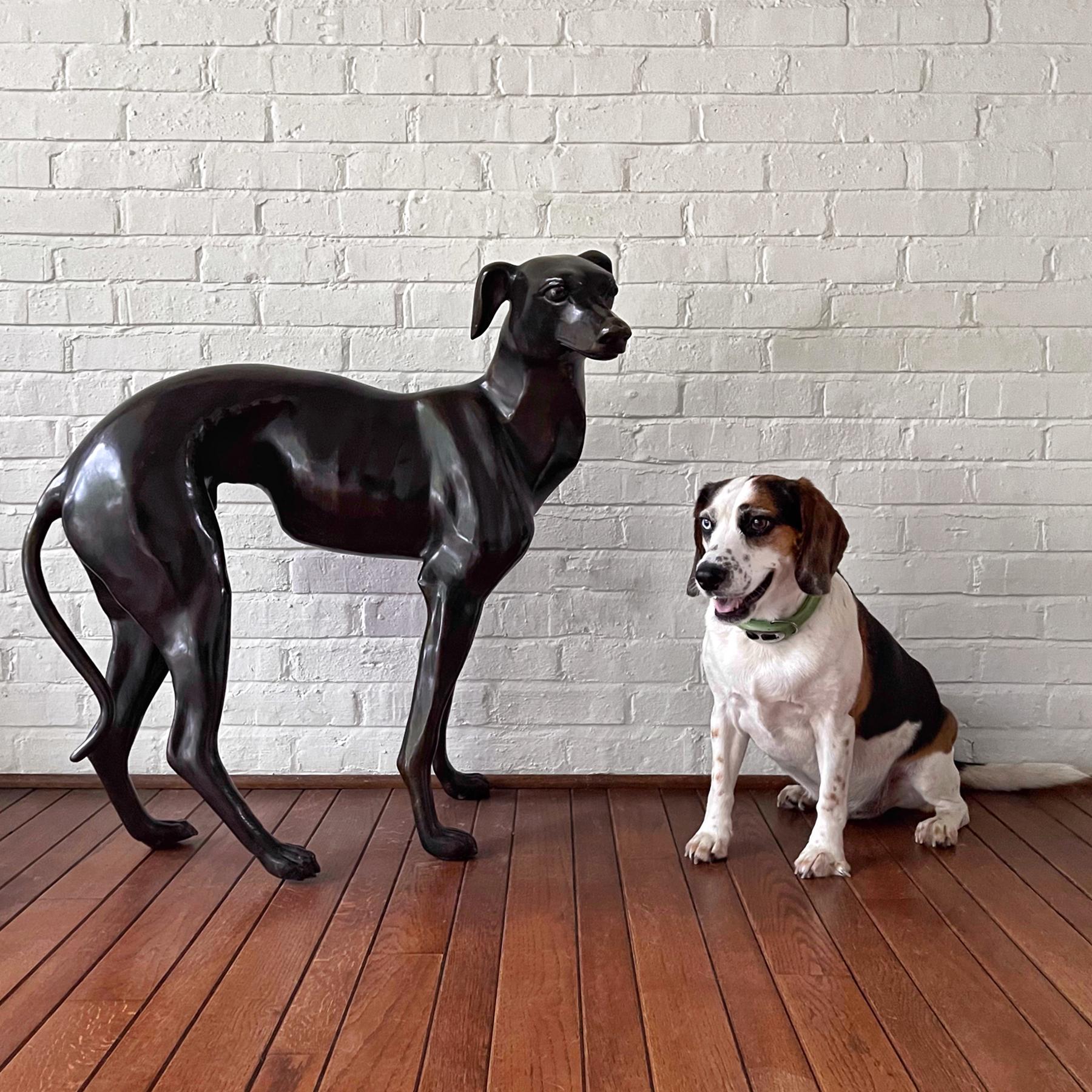 Sculpture de chien Whippet ou Greyhound en bronze en vente 5