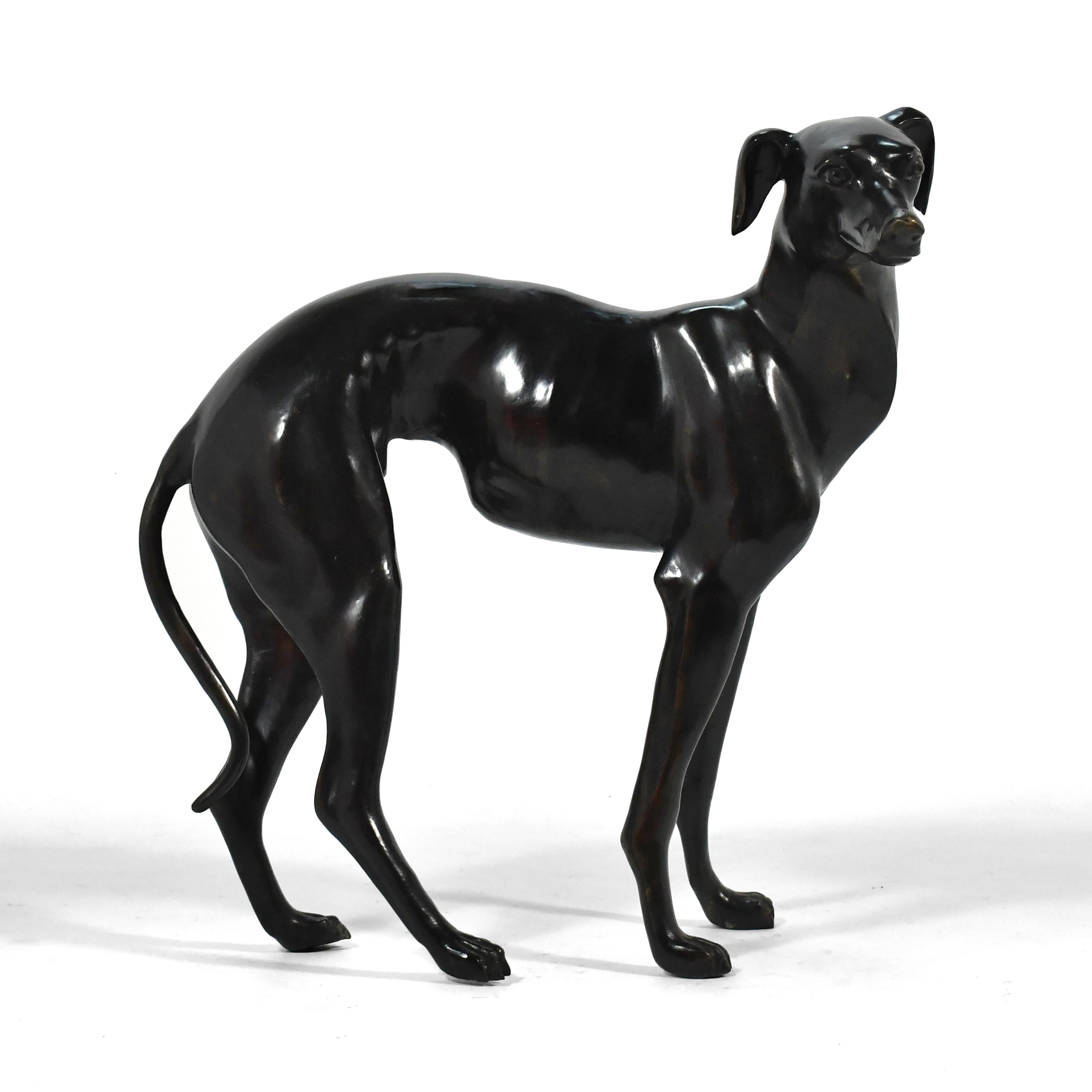 A beautiful life-size Greyhound or Whippet sculpted in bronze, this handsome fellow has terrific presence in any room.