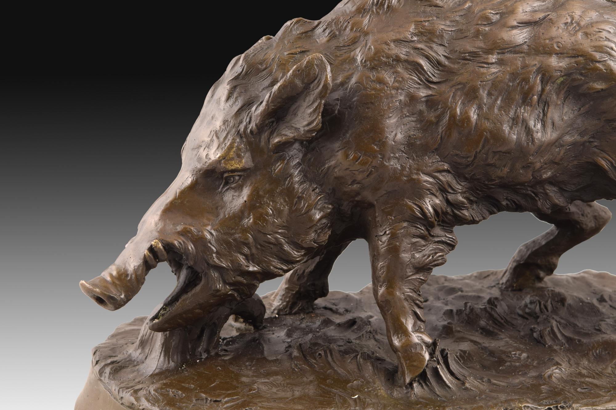 Lost wax casting. 
On an oval base, the boar is placed walking. It is necessary to emphasize the realism of the work both in the treatment of the skin and its anatomy and in its attitude. This type of sculptures were very popular since the 19th