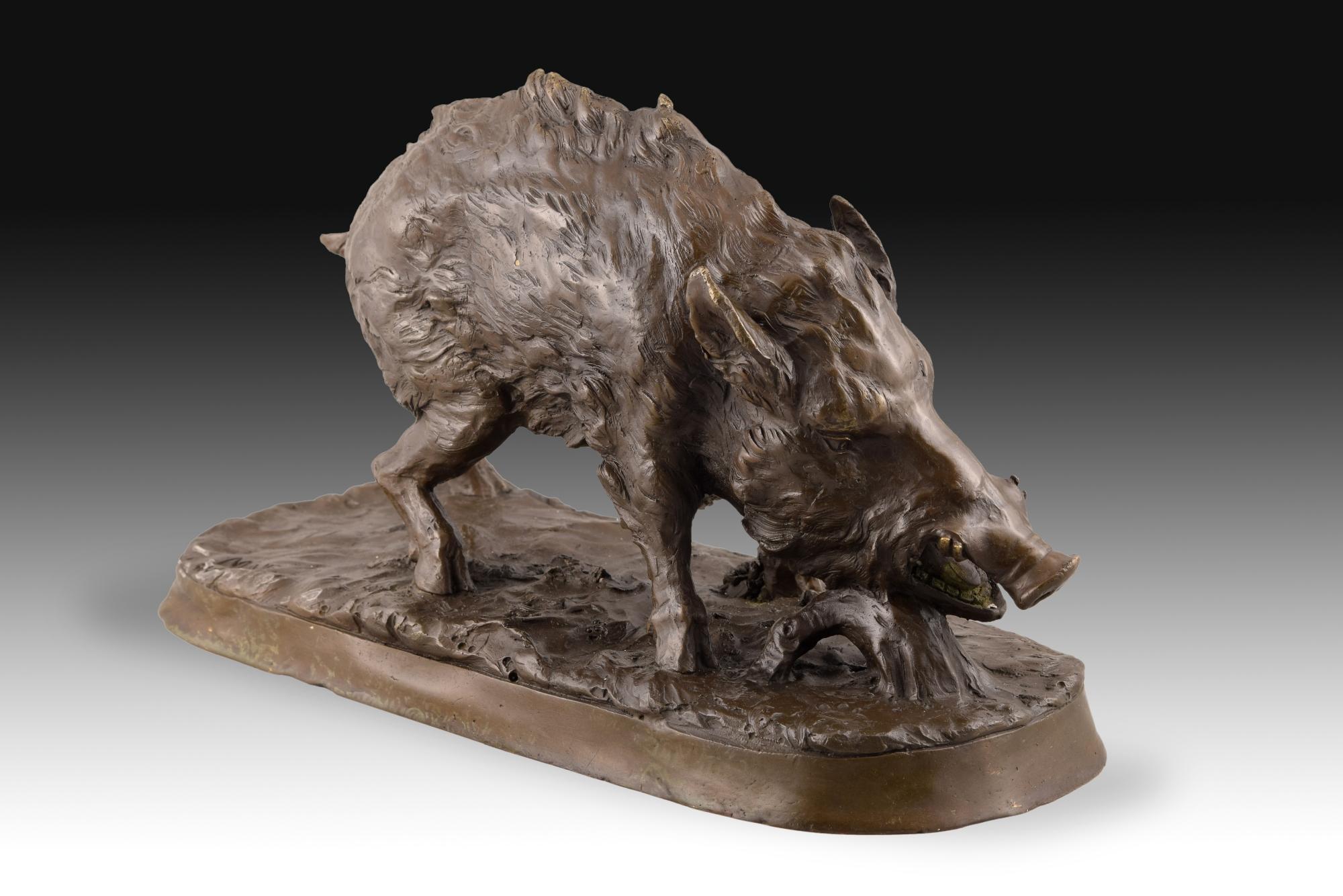 European Bronze Wild Boar
