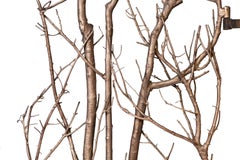 Porte en Branch bronzée Créée par Atelier Boucquet