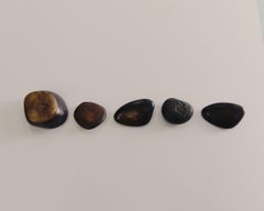 Bronzes by Monique Gerber, signed