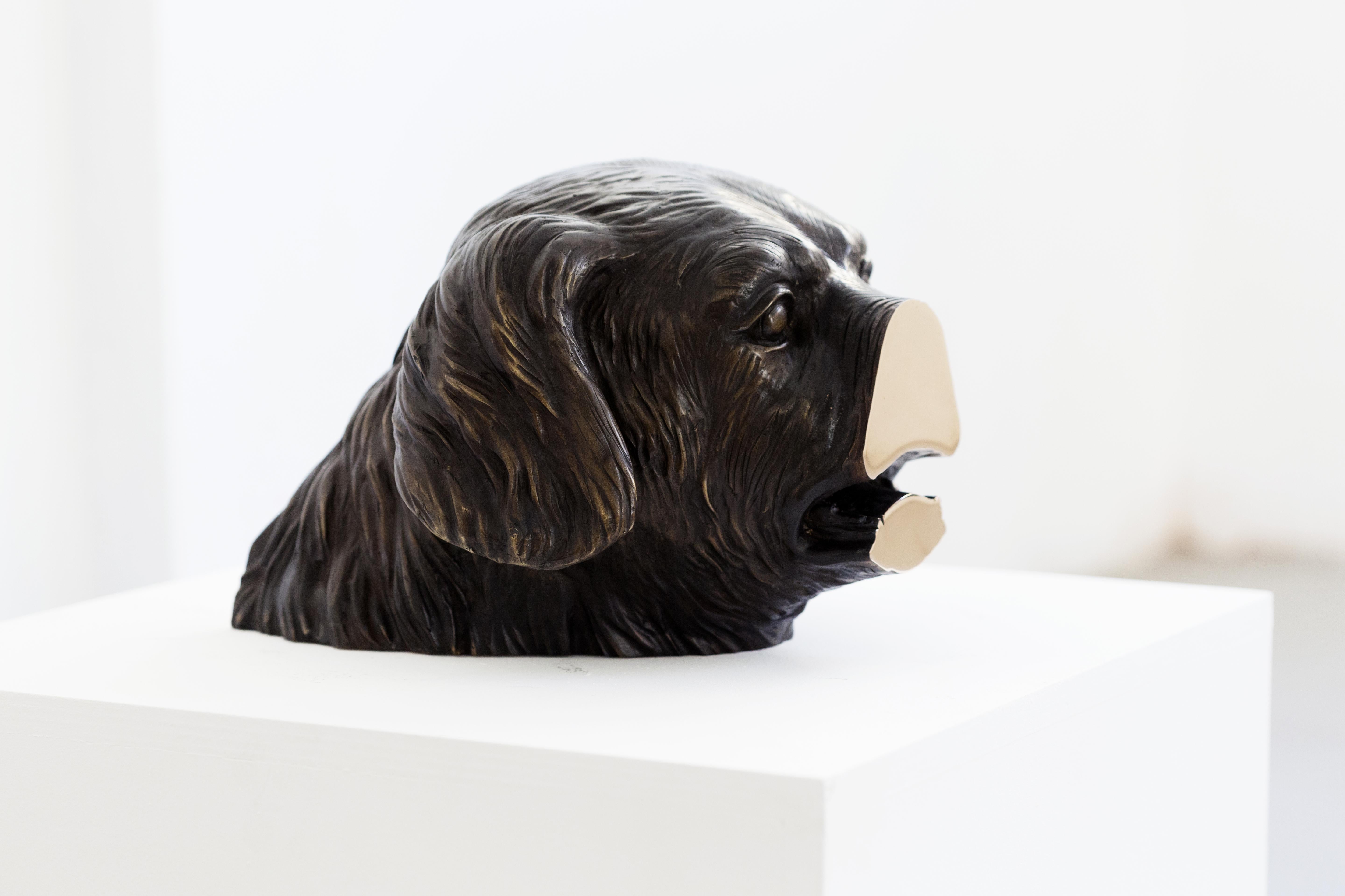 Aufgeschweißte Bronzeskulptur (Hundekopf) aus der Serie Boolean von Nucleo im Angebot 5