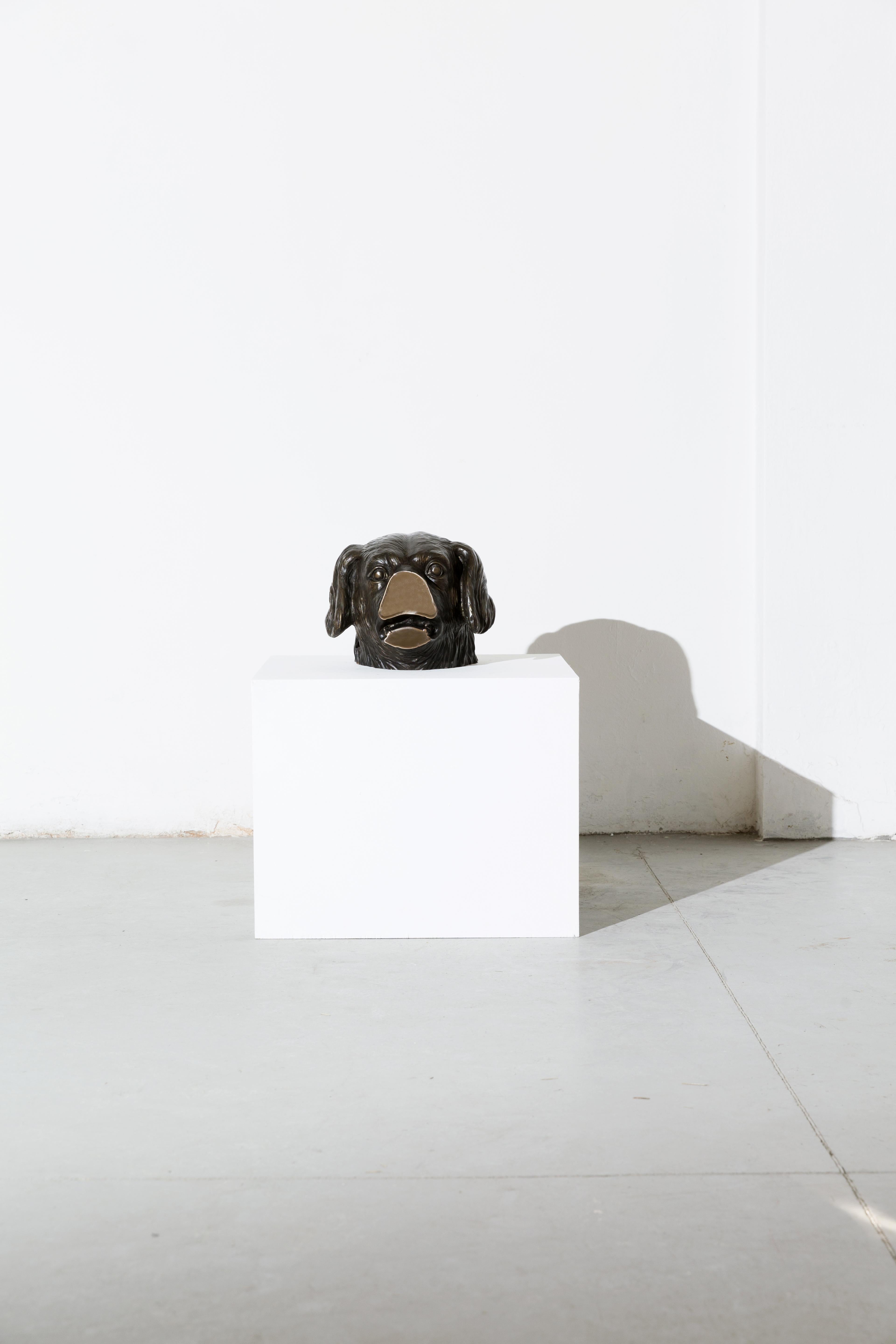 Aufgeschweißte Bronzeskulptur (Hundekopf) aus der Serie Boolean von Nucleo (Bronziert) im Angebot