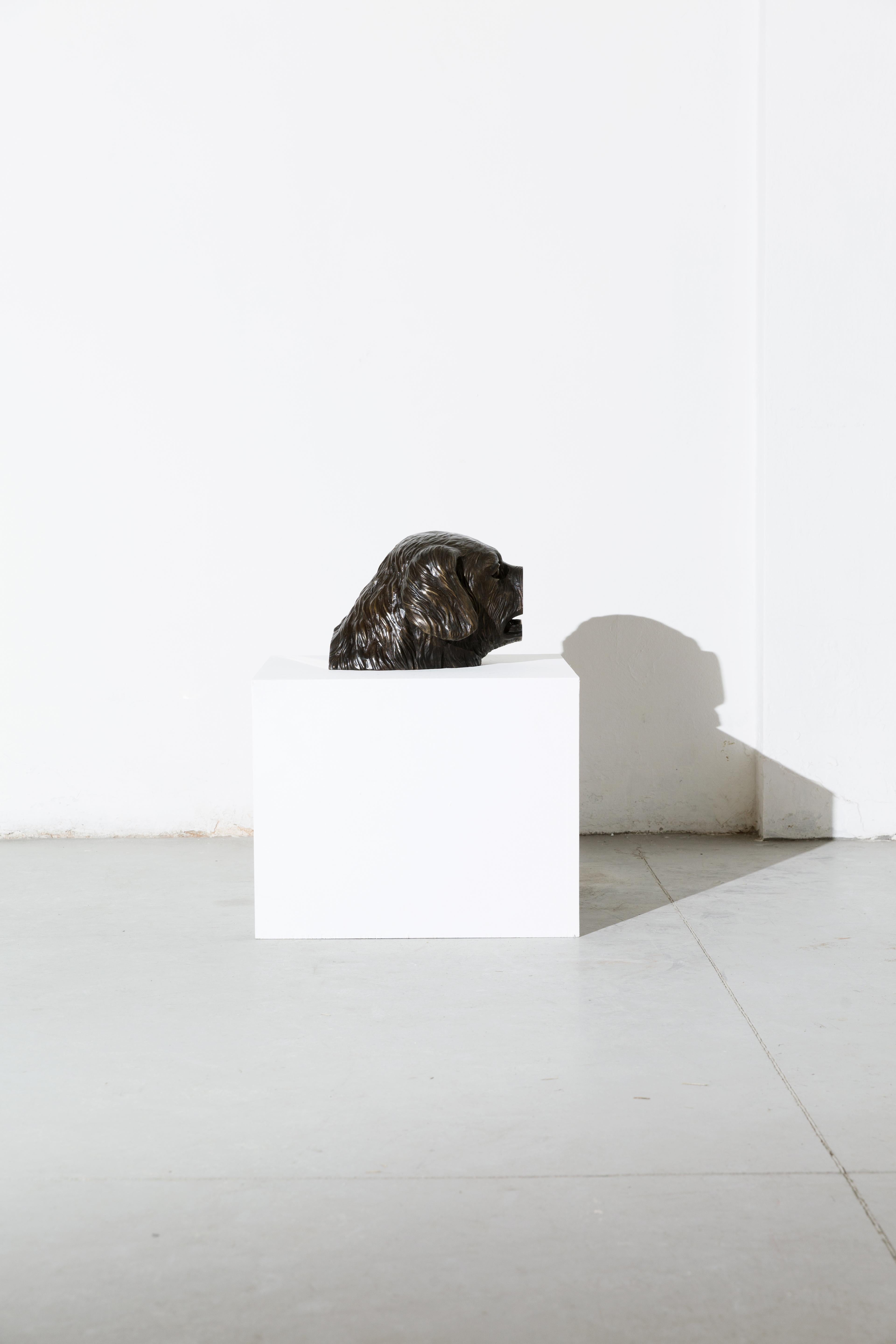 Aufgeschweißte Bronzeskulptur (Hundekopf) aus der Serie Boolean von Nucleo (Zeitgenössisch) im Angebot