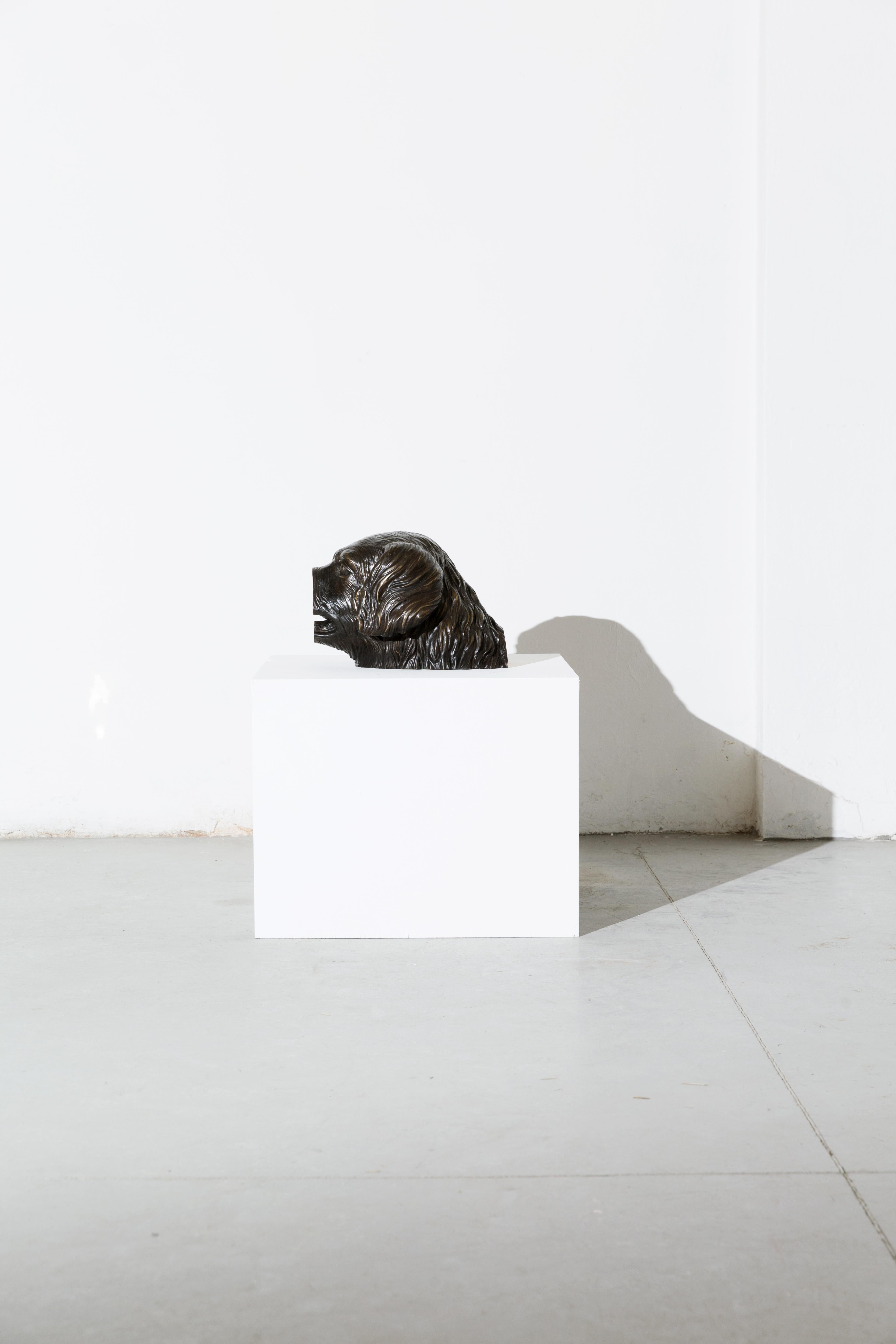 Aufgeschweißte Bronzeskulptur (Hundekopf) aus der Serie Boolean von Nucleo im Angebot 1
