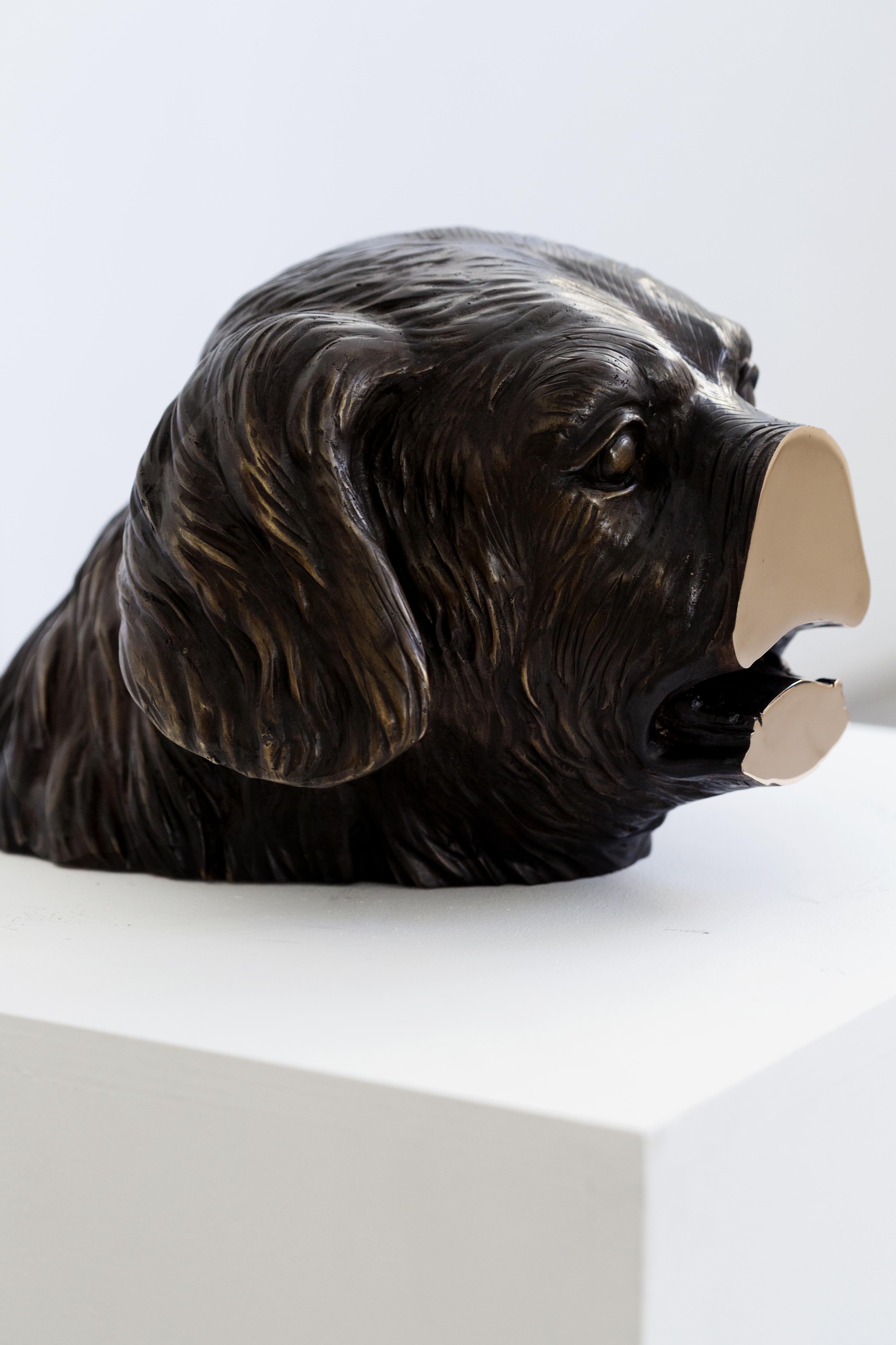 Aufgeschweißte Bronzeskulptur (Hundekopf) aus der Serie Boolean von Nucleo im Angebot 4