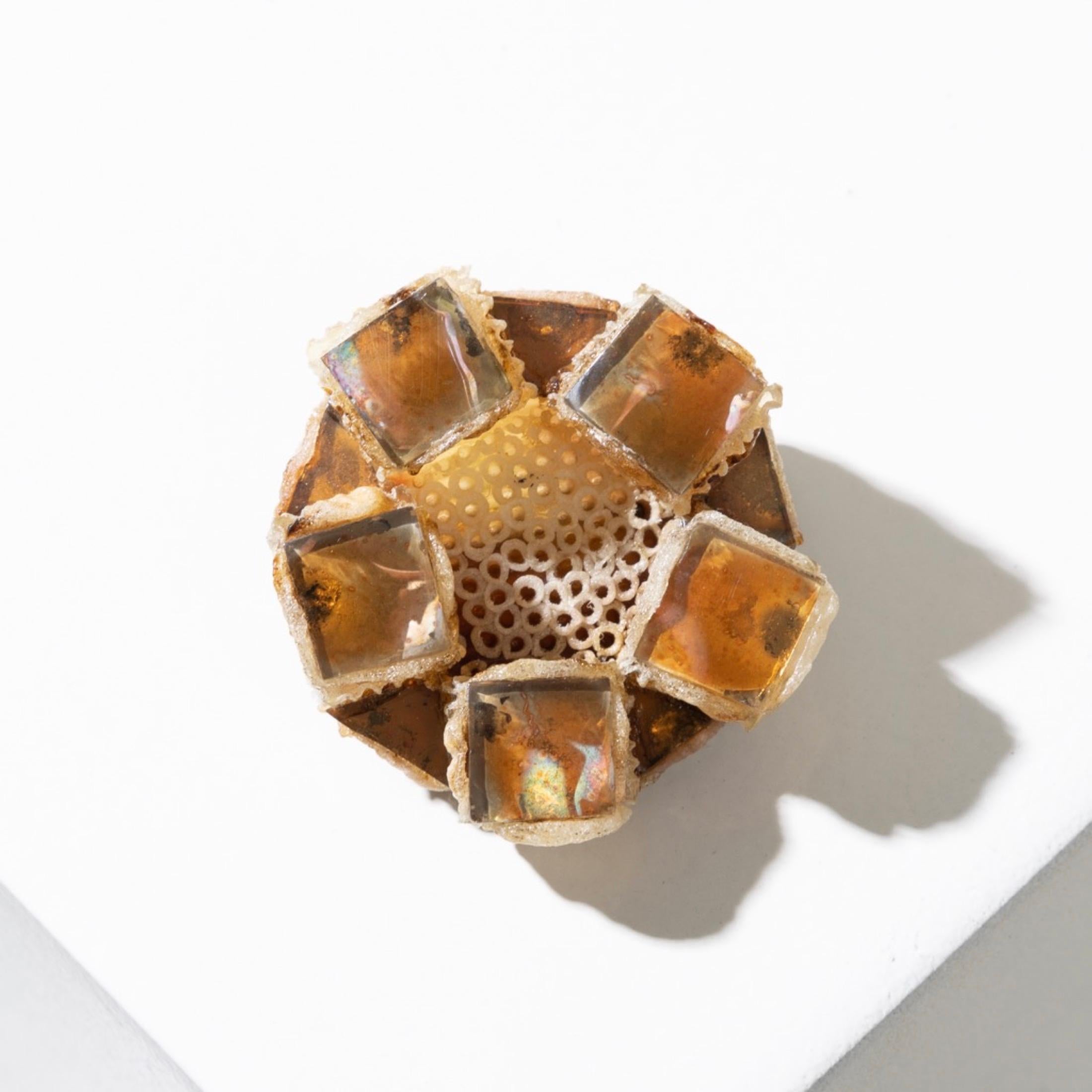This beige Talosel brooch is a unique piece of jewelry that perfectly captures the aesthetic characteristic of Line Vautrin’s work. It is adorned with small amber colored mirrors, which are intricately embedded in the beige Talosel to create a