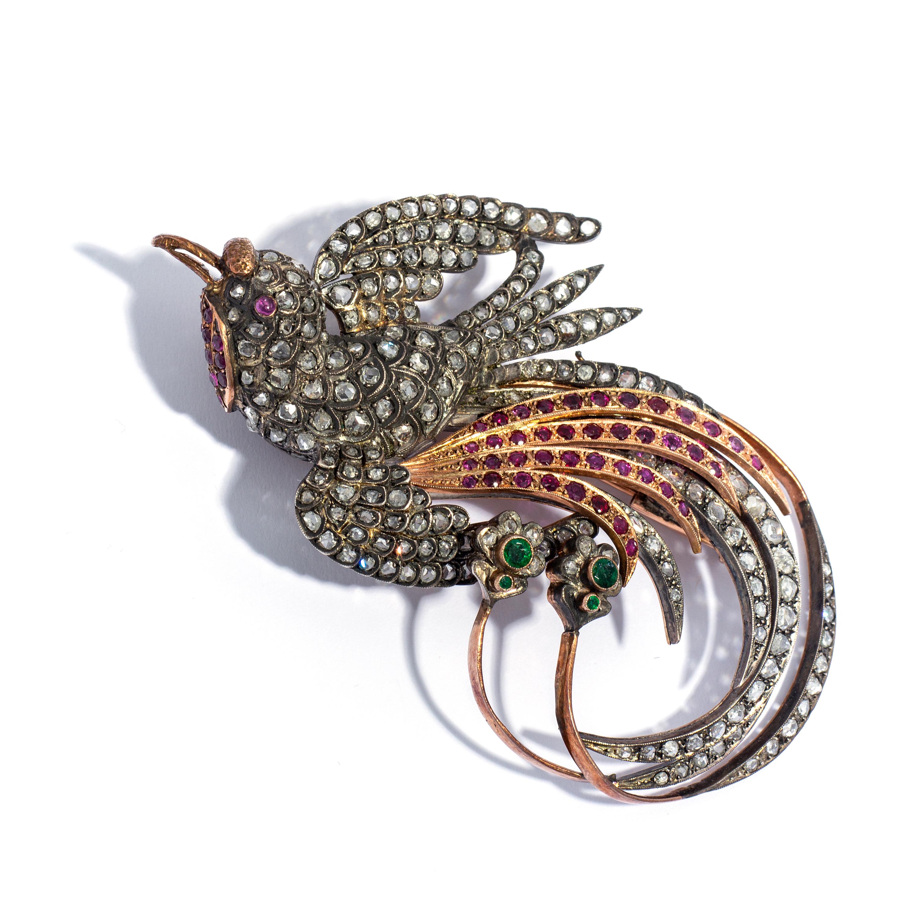 Brooch Paradise Bird Rose cut Diamond, ruby and emerald. Total 10.15 carats on silver and gold. 
Early 20th century.

Length: 3,35 inches (8.5 centimeters)
Width: 2,36 inches (6.00 centimeters)