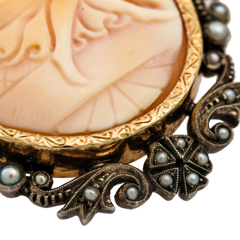 Brooch/Pendant Shell Cameo 'Leda and Swan' For Sale at 1stDibs