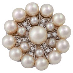 Brooch with Akoya Pearls and Diamonds