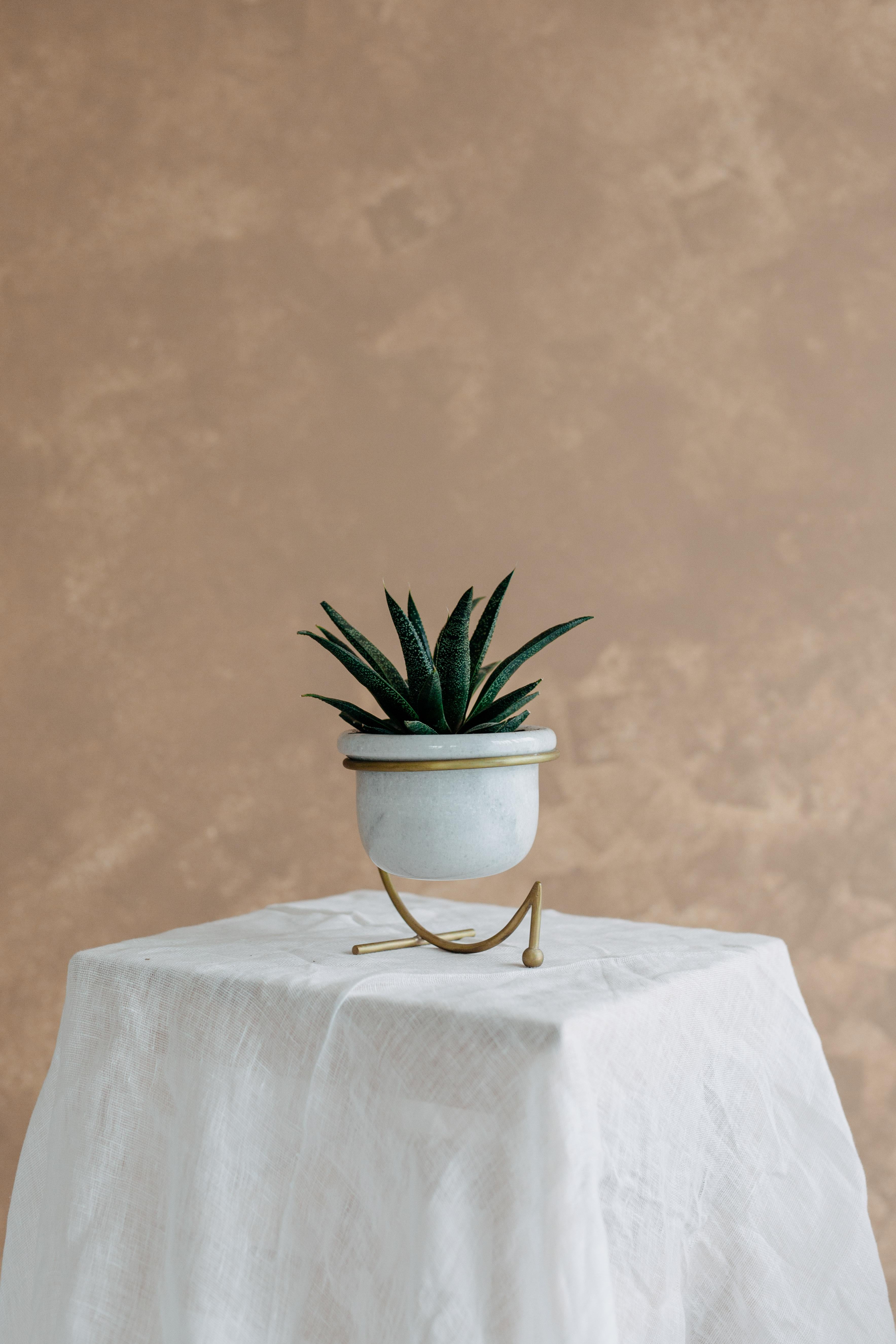 Turkish Brook Bowl/Vase by Studio Laf For Sale