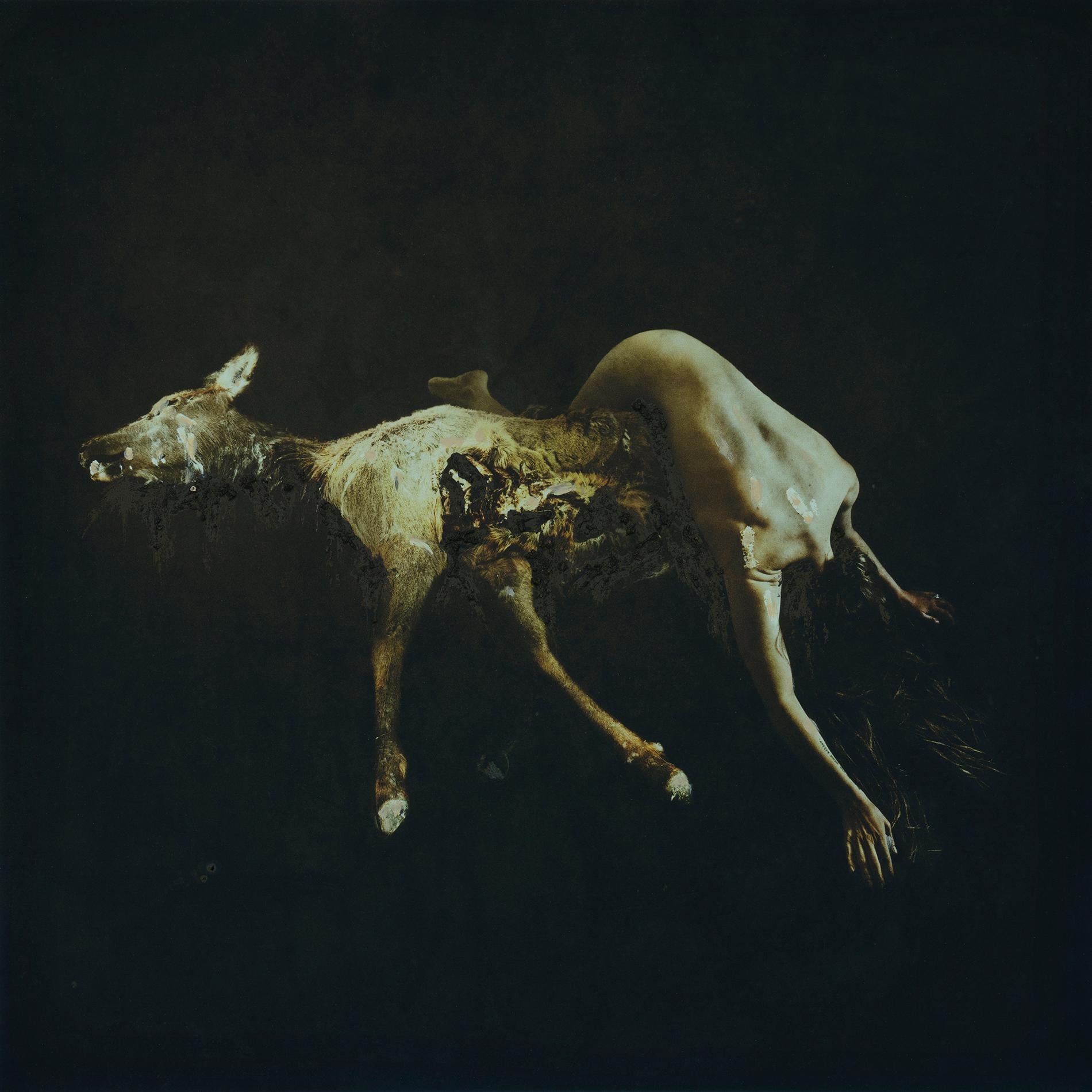 BROOKE SHADEN
"Integration"
Photo on Velvet Fine Art Paper, Ed of 2
15 × 15 in. Unframed
*Please allow 2 weeks printing lead time*


"The twisted body of the subject lays in place over the mutilated elk remains in an attempt to complete the body of
