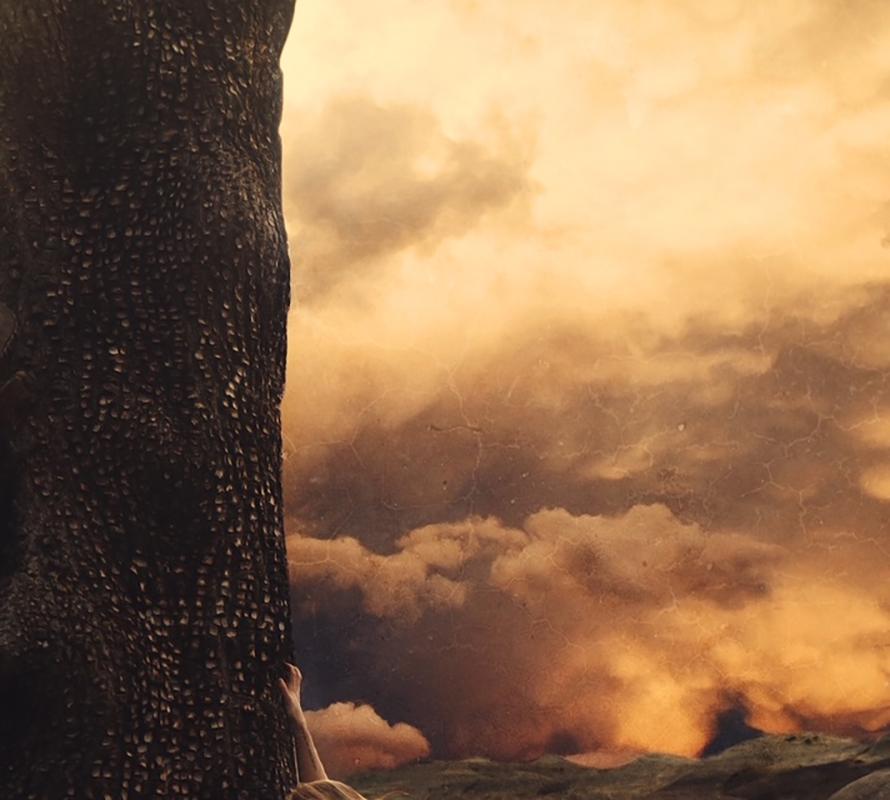 Portrait Photography, Figurative_Brooke Shaden, The Place Where Secrets Sleep en vente 3
