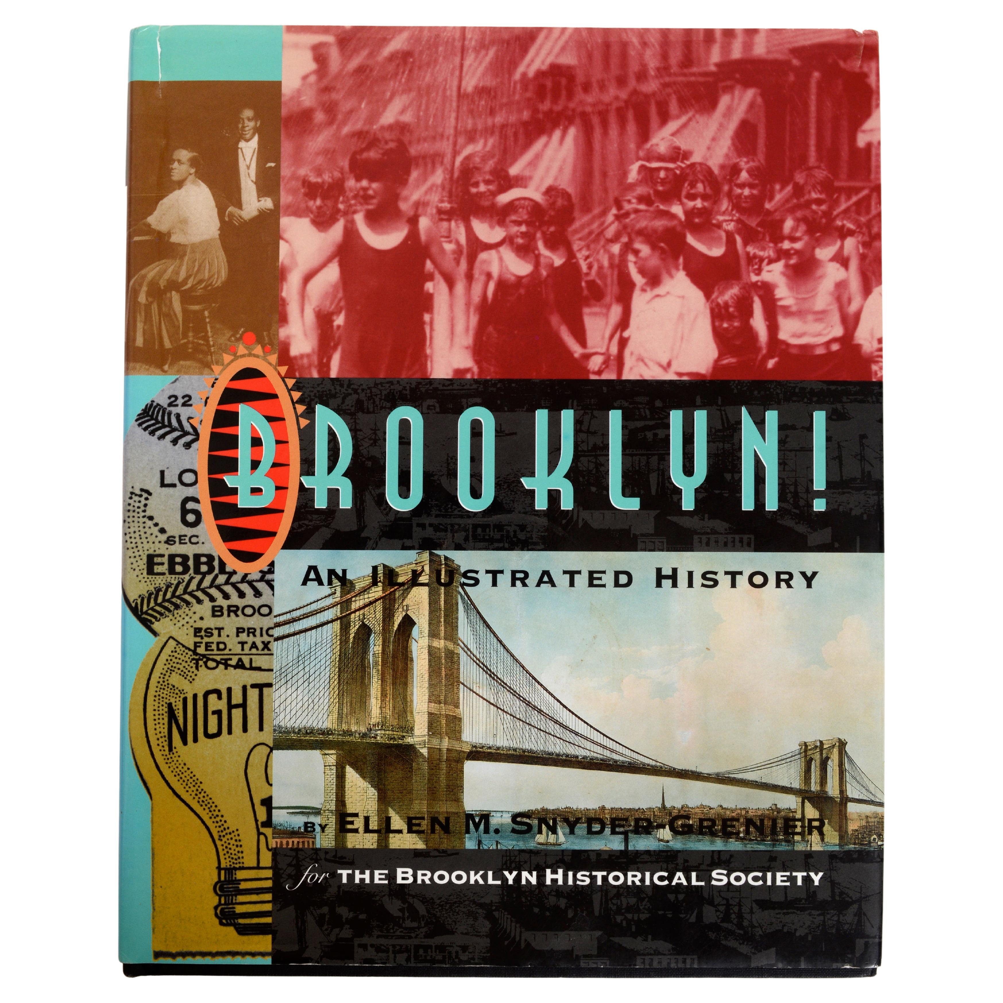 Brooklyn: an Illustrated History (Critical Perspectives on the past) 1st Ed For Sale