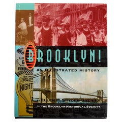 Retro Brooklyn: an Illustrated History (Critical Perspectives on the past) 1st Ed