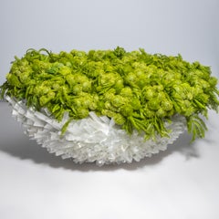 Extra Large Bowl in Selenite