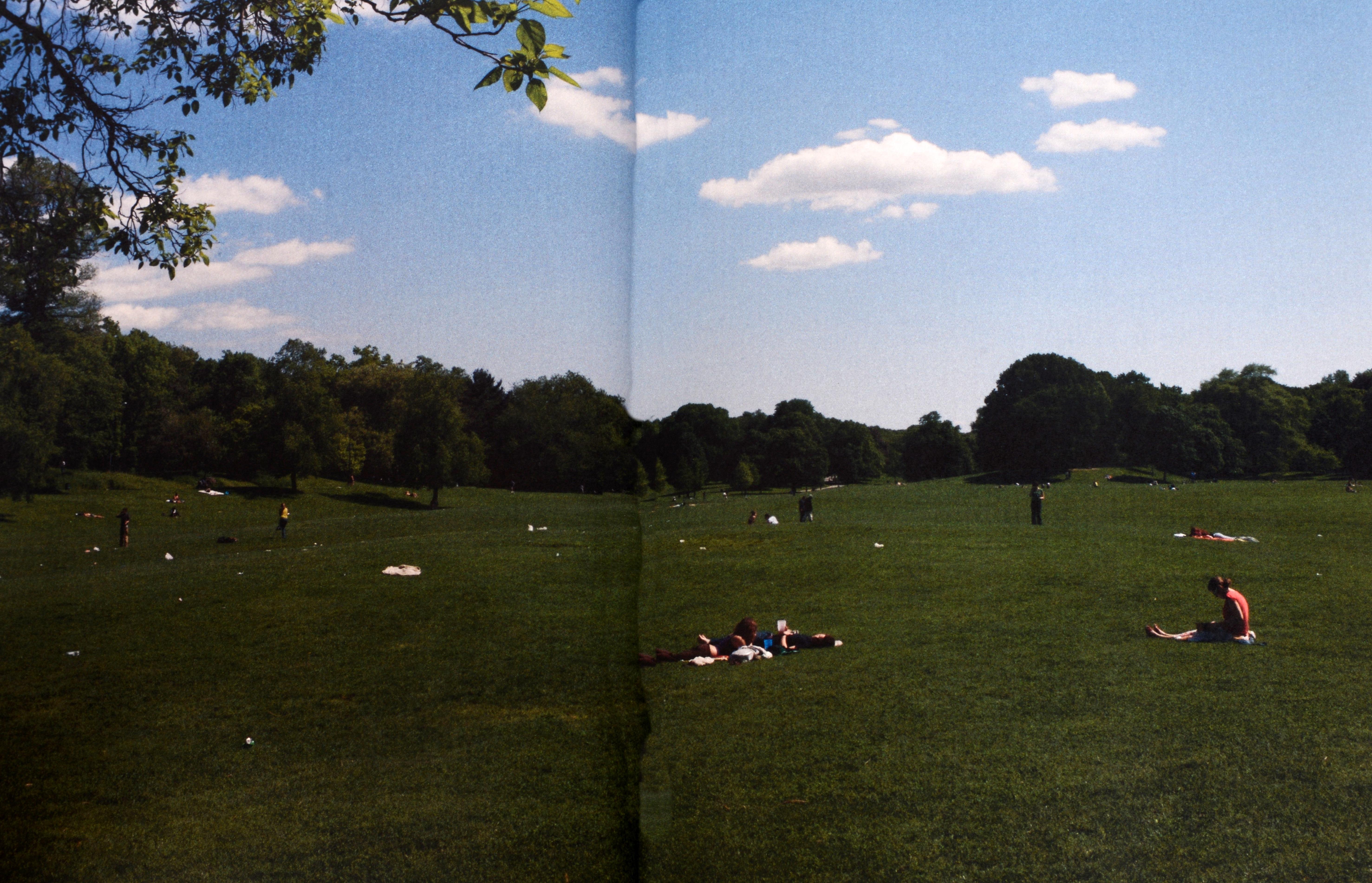 Brooklyn Modern : Architecture, Interiors and Design de Diana Lind, 1st Ed Excellent état - En vente à valatie, NY