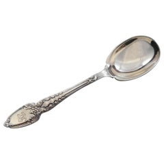 Broom Corn by Tiffany & Co. Sterling Silver Sugar Spoon Plain Bowl