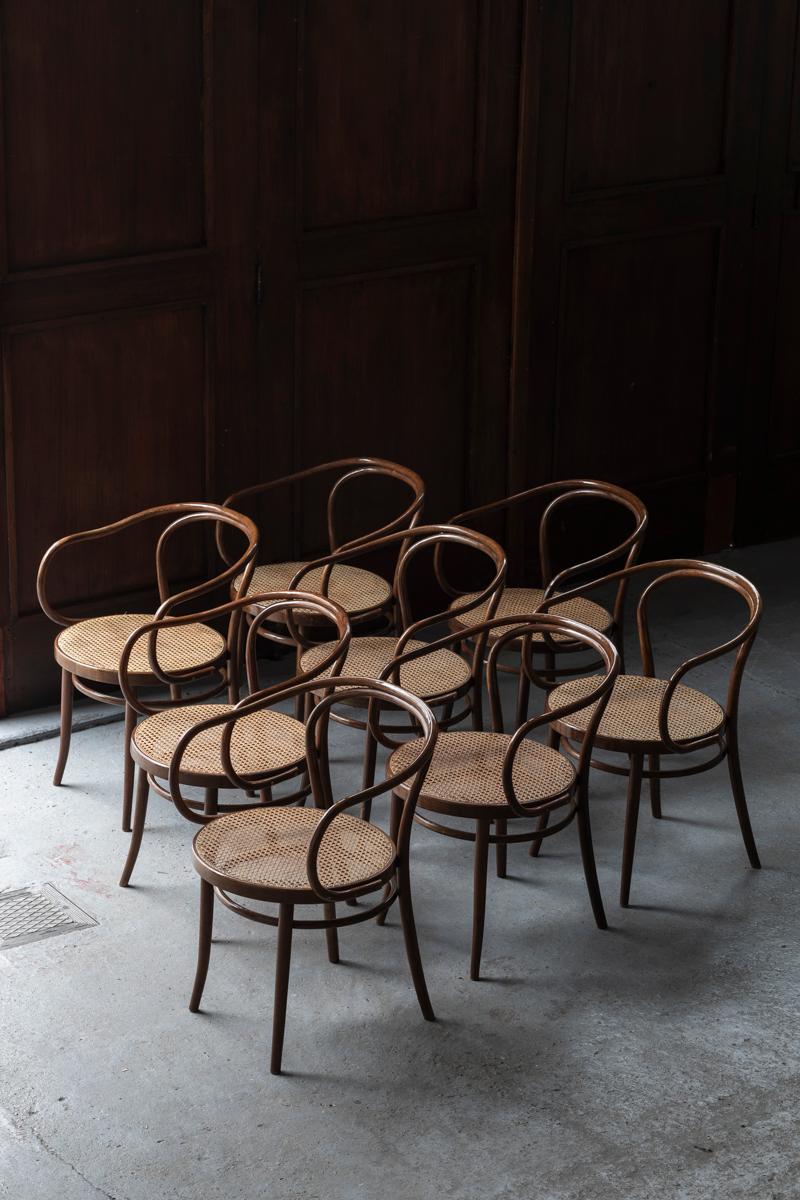 Set of 8 armchairs ‘model 209’ produced by Ligna Drevounia in Czechoslovakia, who had the official license from the brothers Thonet during the 1960’s and 1970’s. These classic chairs have solid dark stained bentwood frame and a cane webbing seating.