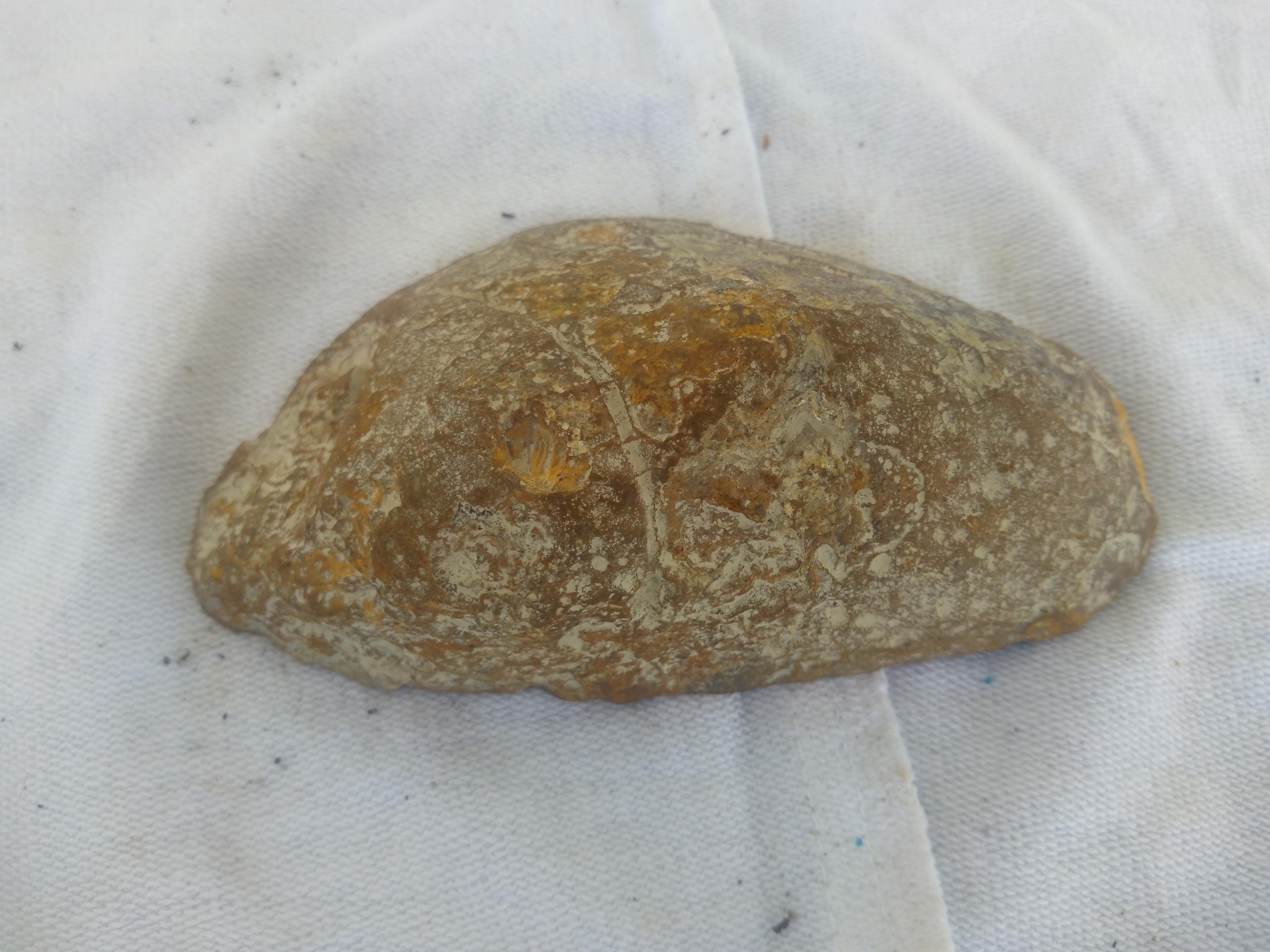 Brasiliano Cristallo geode di agata marrone su supporto in Wood in vendita