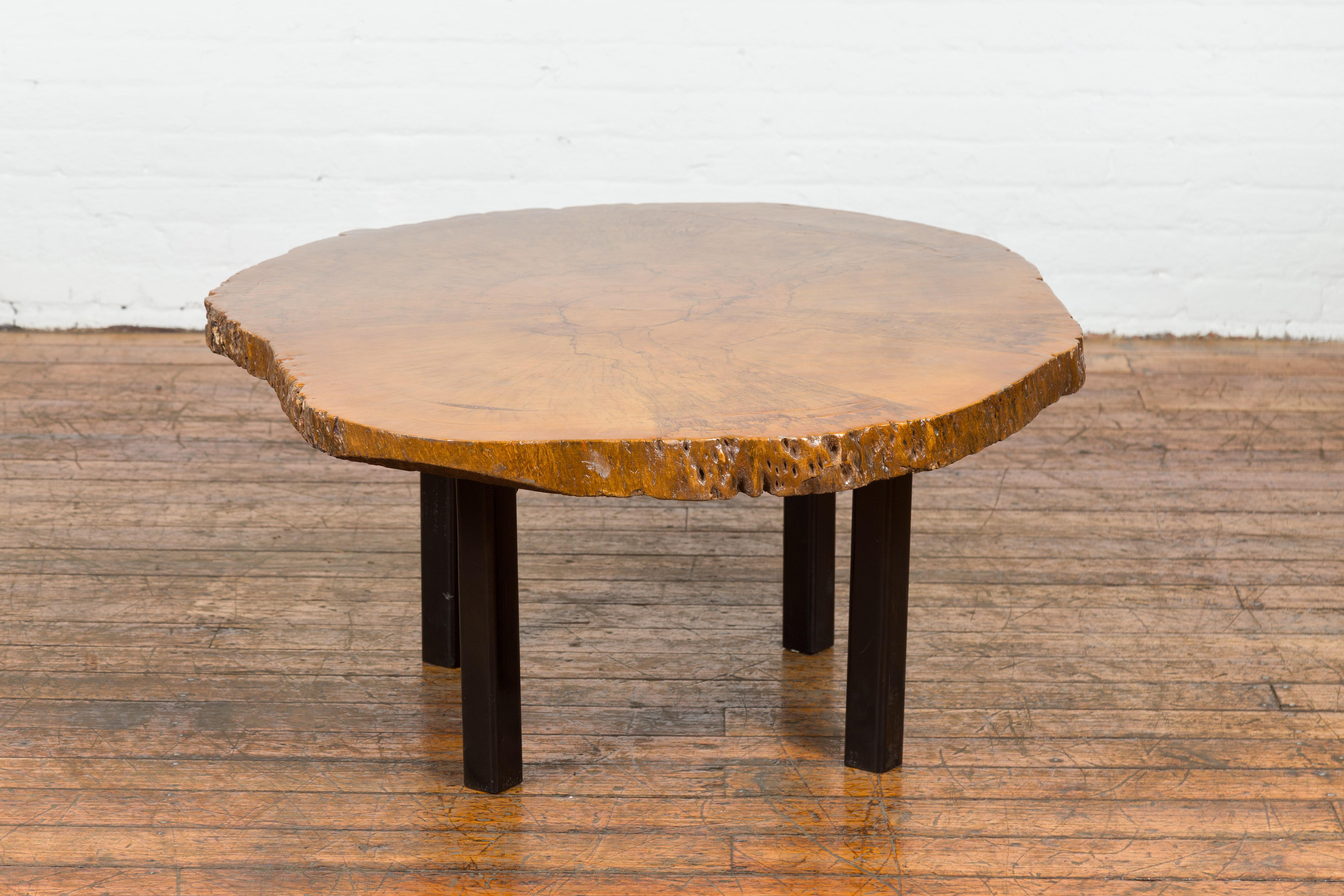 Brown and Black Organic Old Root Tree Slice Table with Straight Wooden Legs For Sale 8