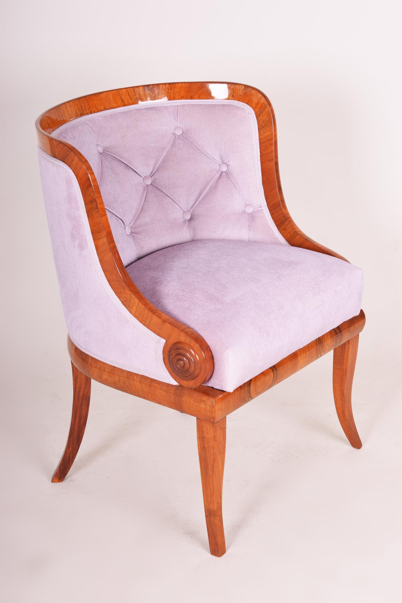 Czech Brown and Pink Bohemian Armchair Made Out of Walnut, 1820s, Biedermeier Style For Sale