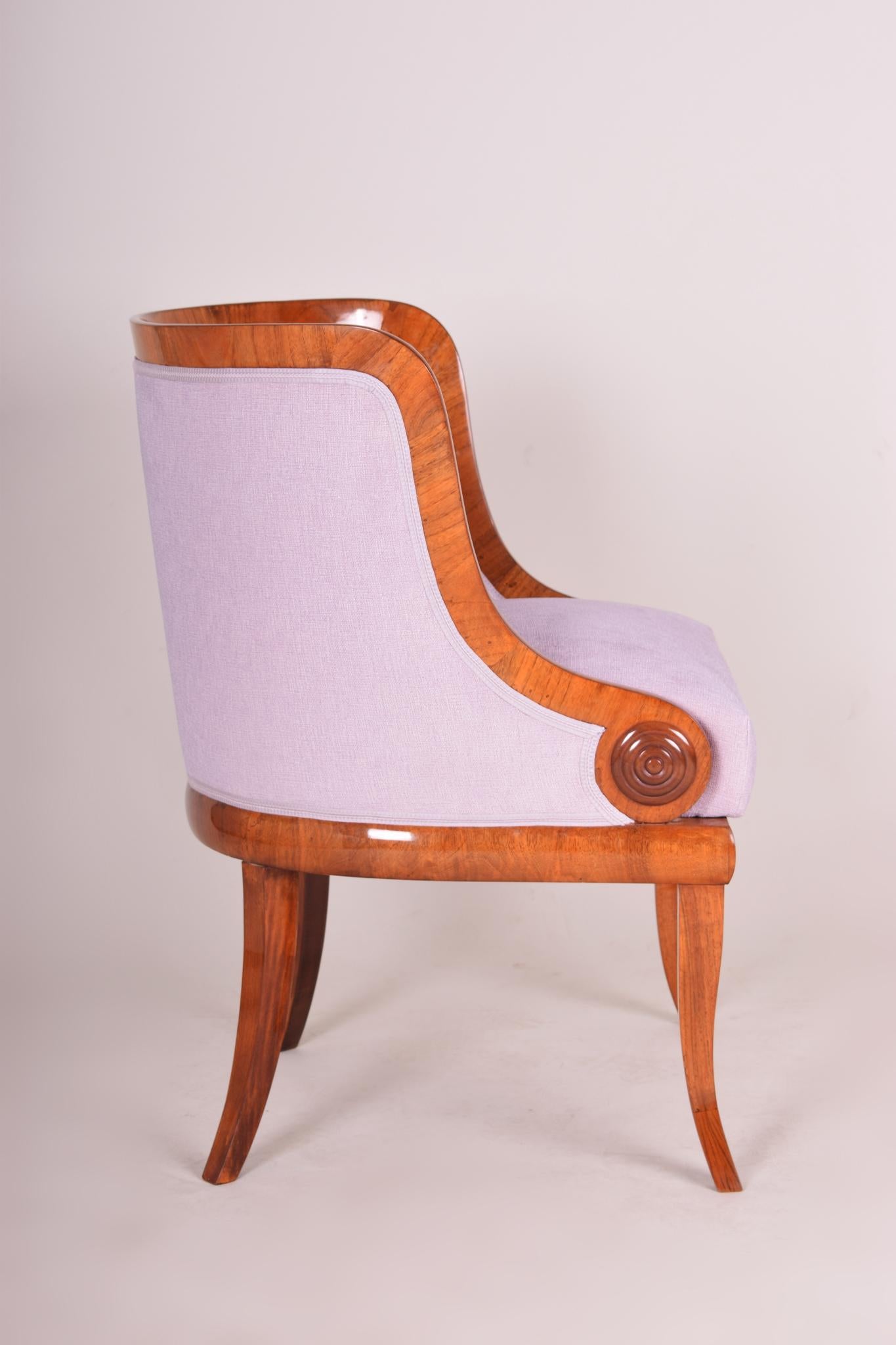 Brown and Pink Bohemian Armchair Made Out of Walnut, 1820s, Biedermeier Style For Sale 1