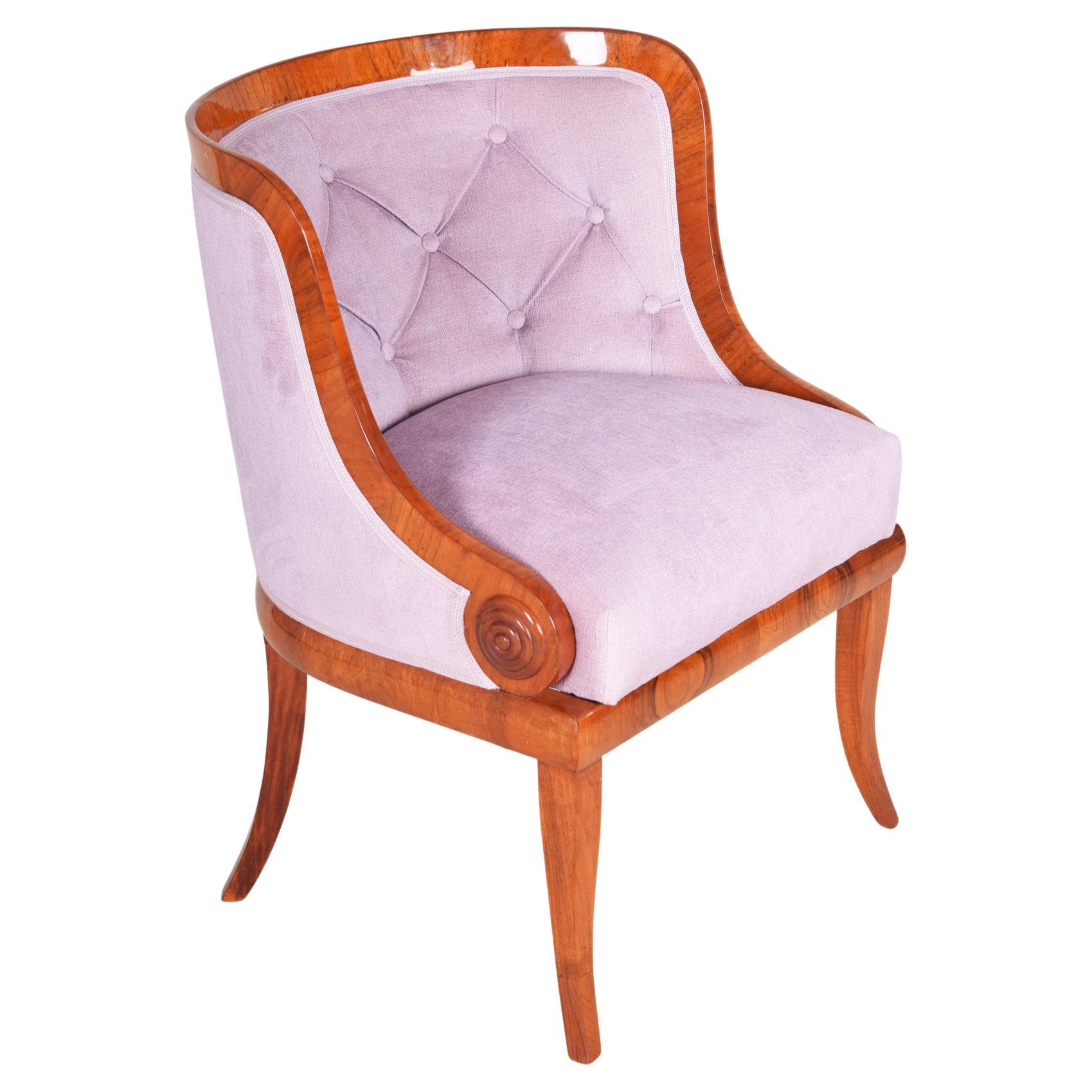 Brown and Pink Bohemian Armchair Made Out of Walnut, 1820s, Biedermeier Style For Sale