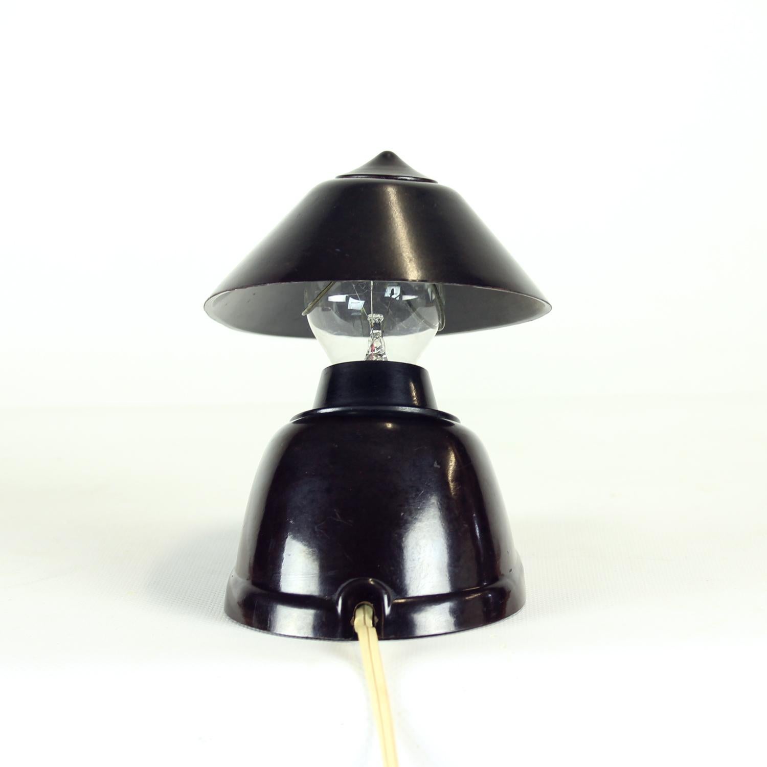 Brown Bakelite Lamp By Bauhaus Team For Esc Zukov, 1930s For Sale 2