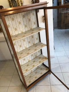 Brown Biedermeier Vitrine from circa 1845