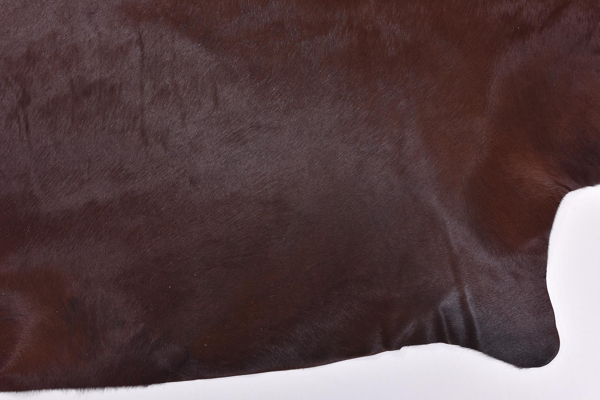 20th Century Brown Bovine Leather For Sale