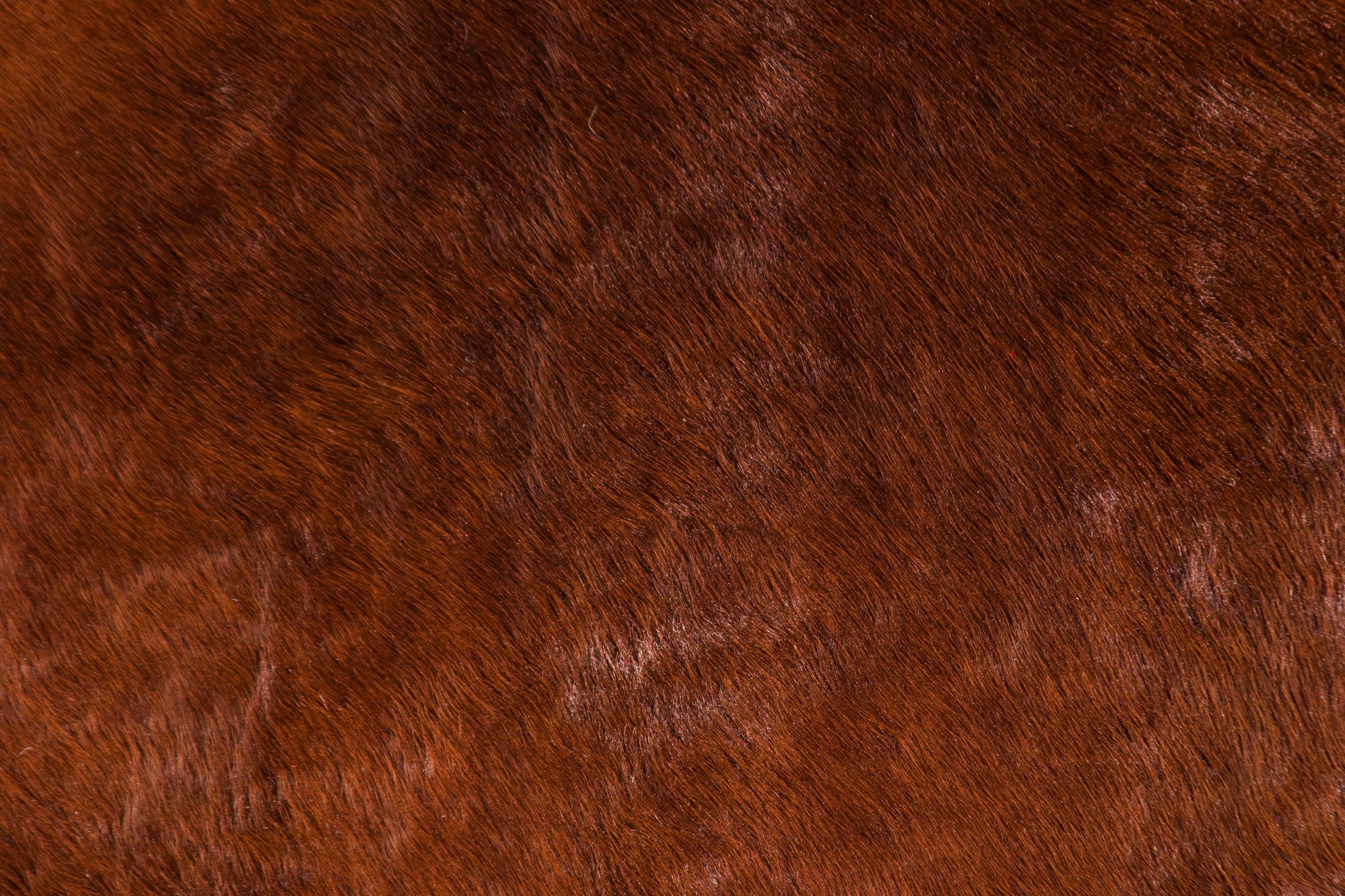 brown cow rug