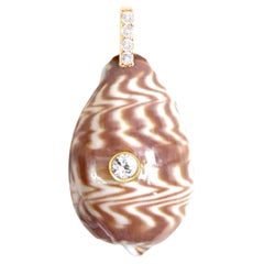 Brown Cowrie Shell Pendant with Diamond and White Sapphire