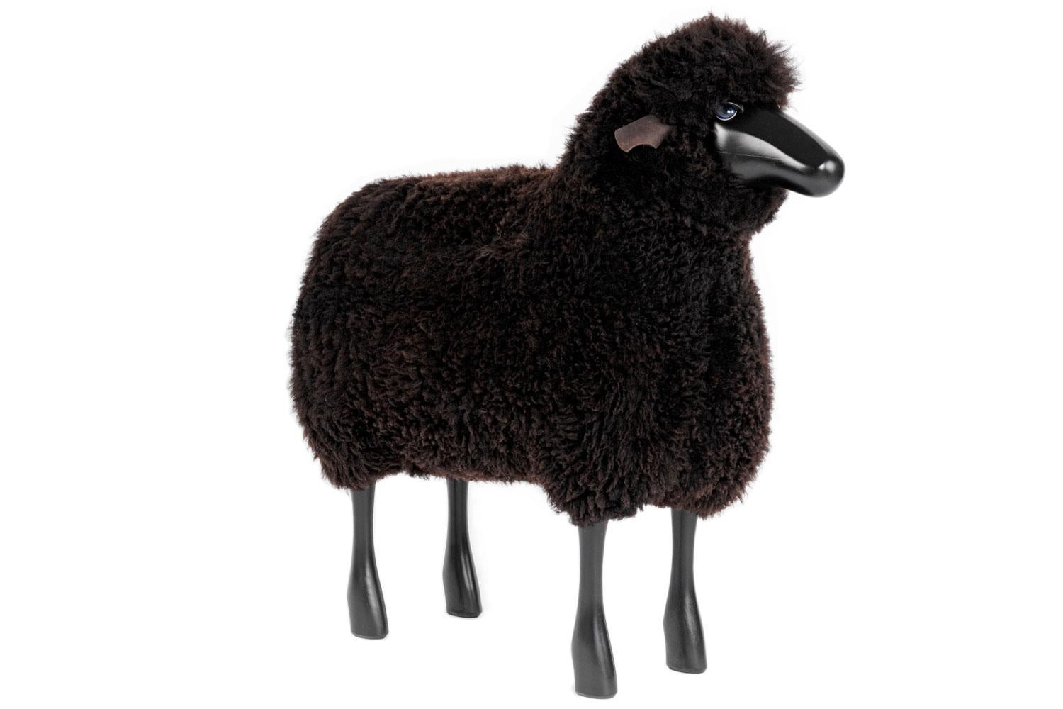 curly black sheep